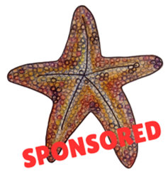 ARTIST: Tom Everard | SPONSOR: Hornsea In-Shore Rescue