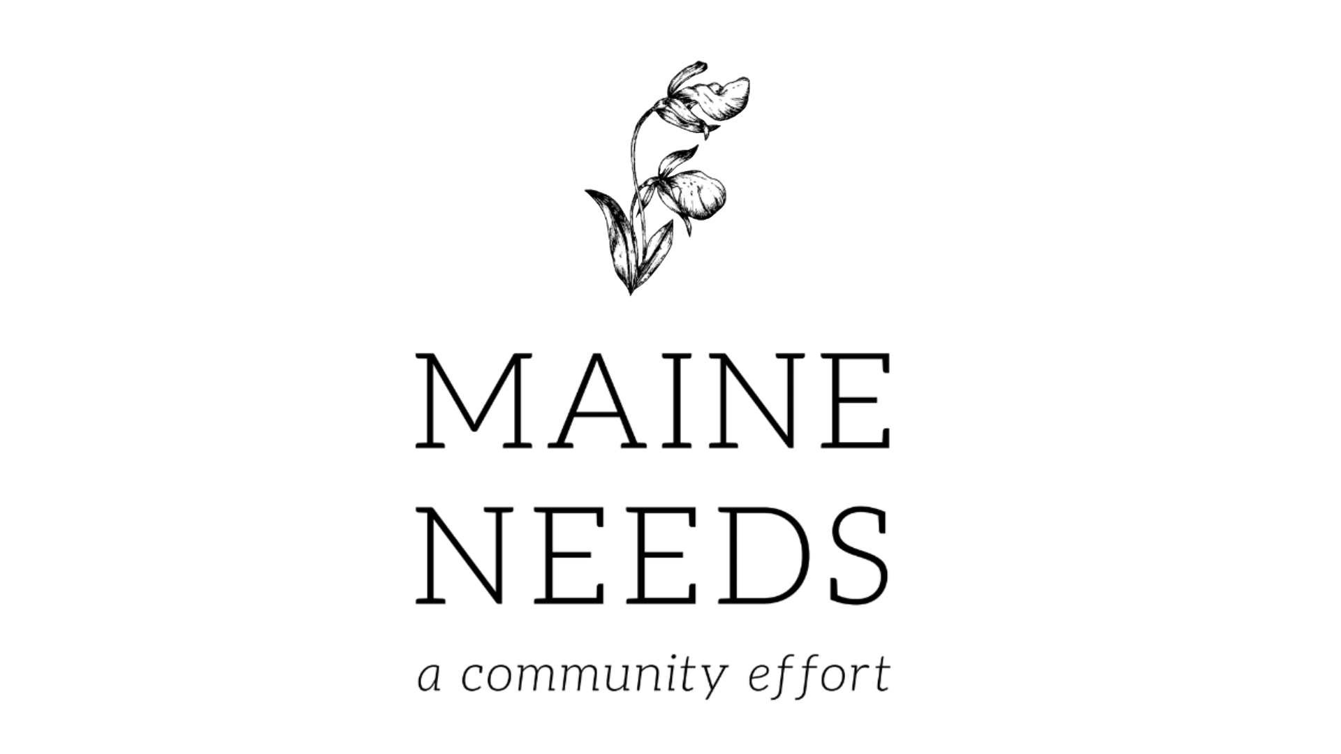 Maine Needs logo.png