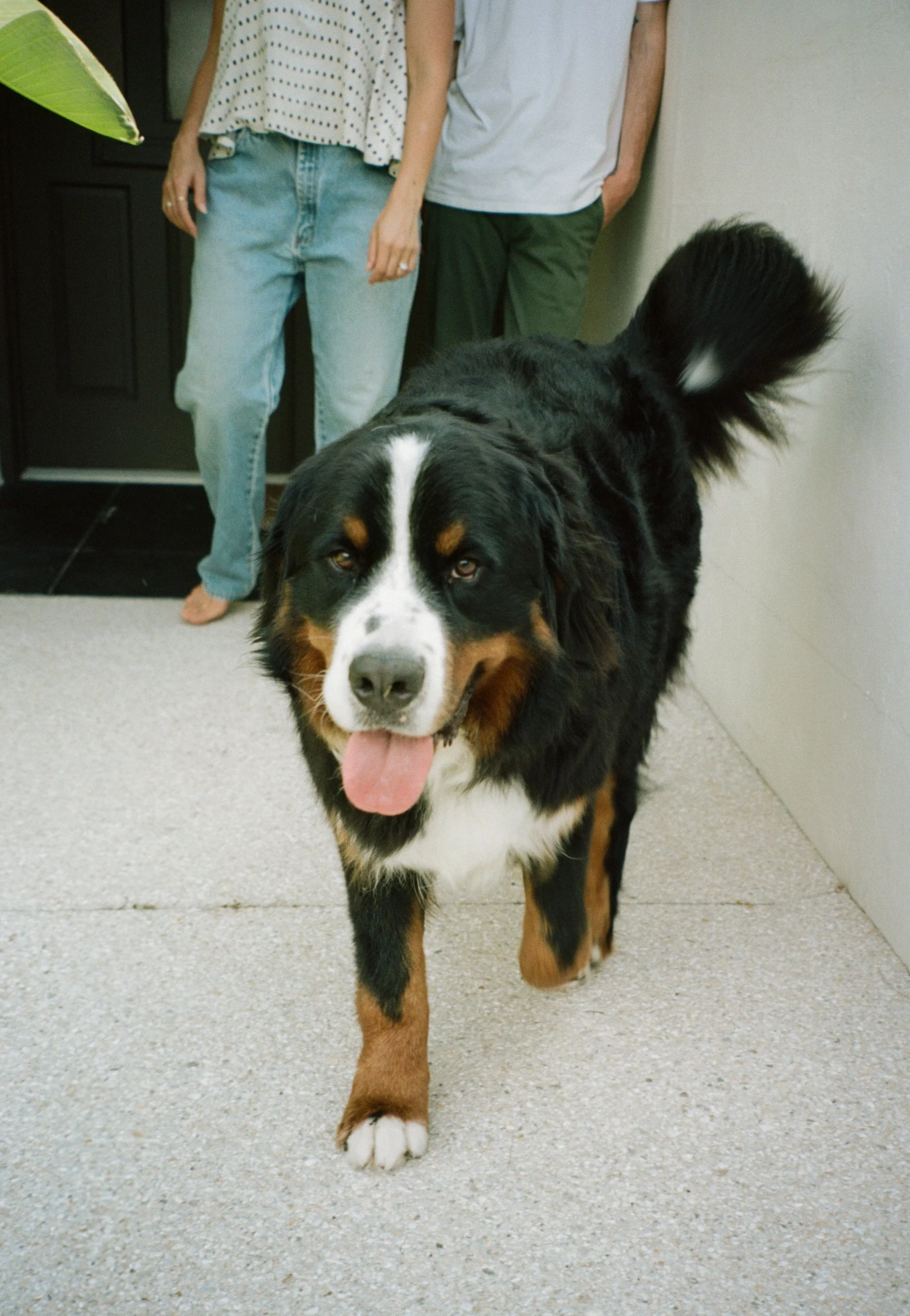 film edits-27.jpg
