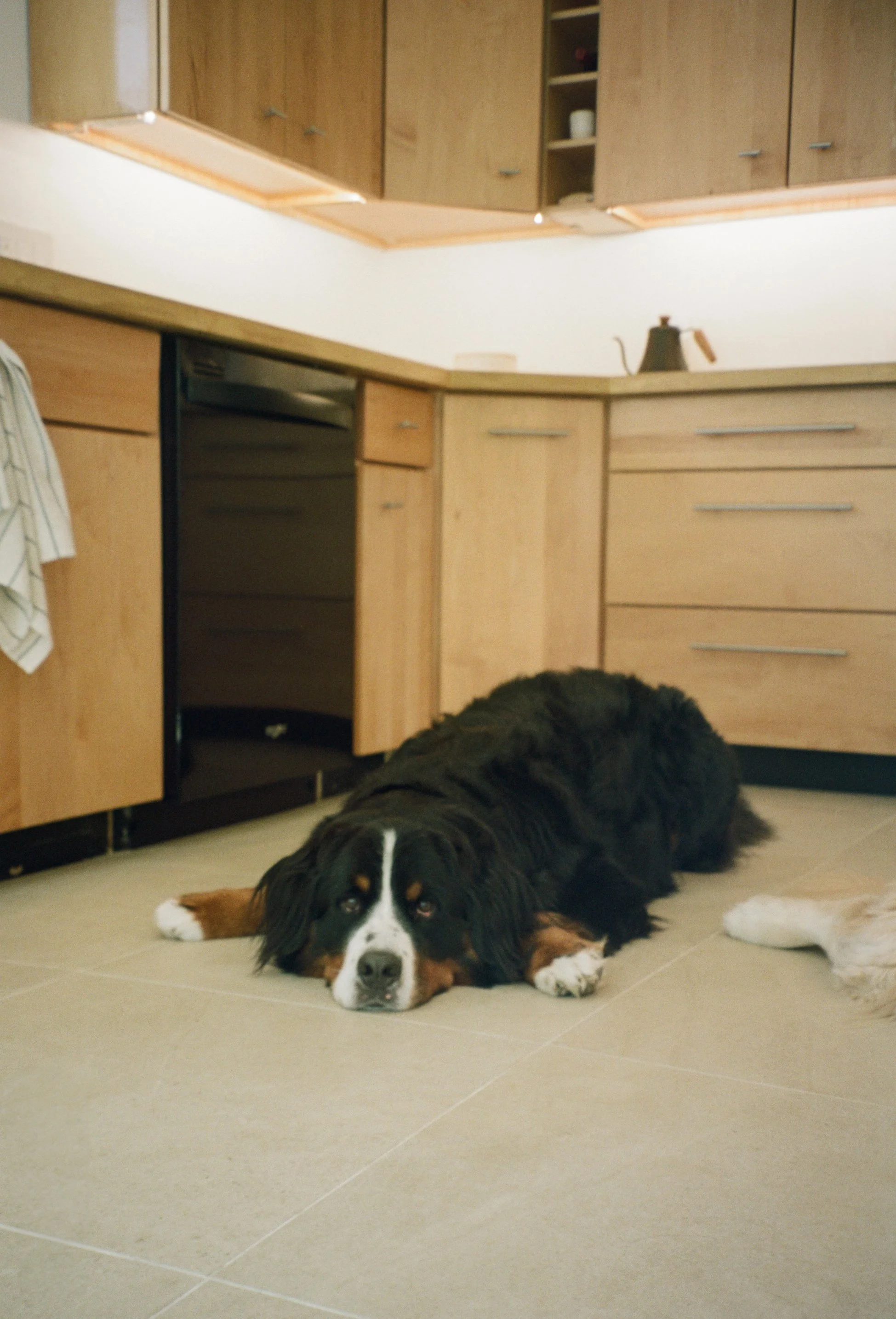film edits-24.jpg