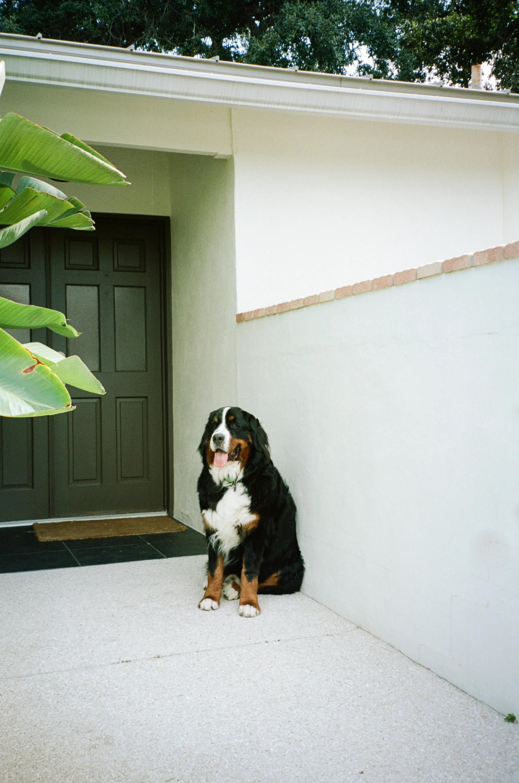 film edits-29.jpg