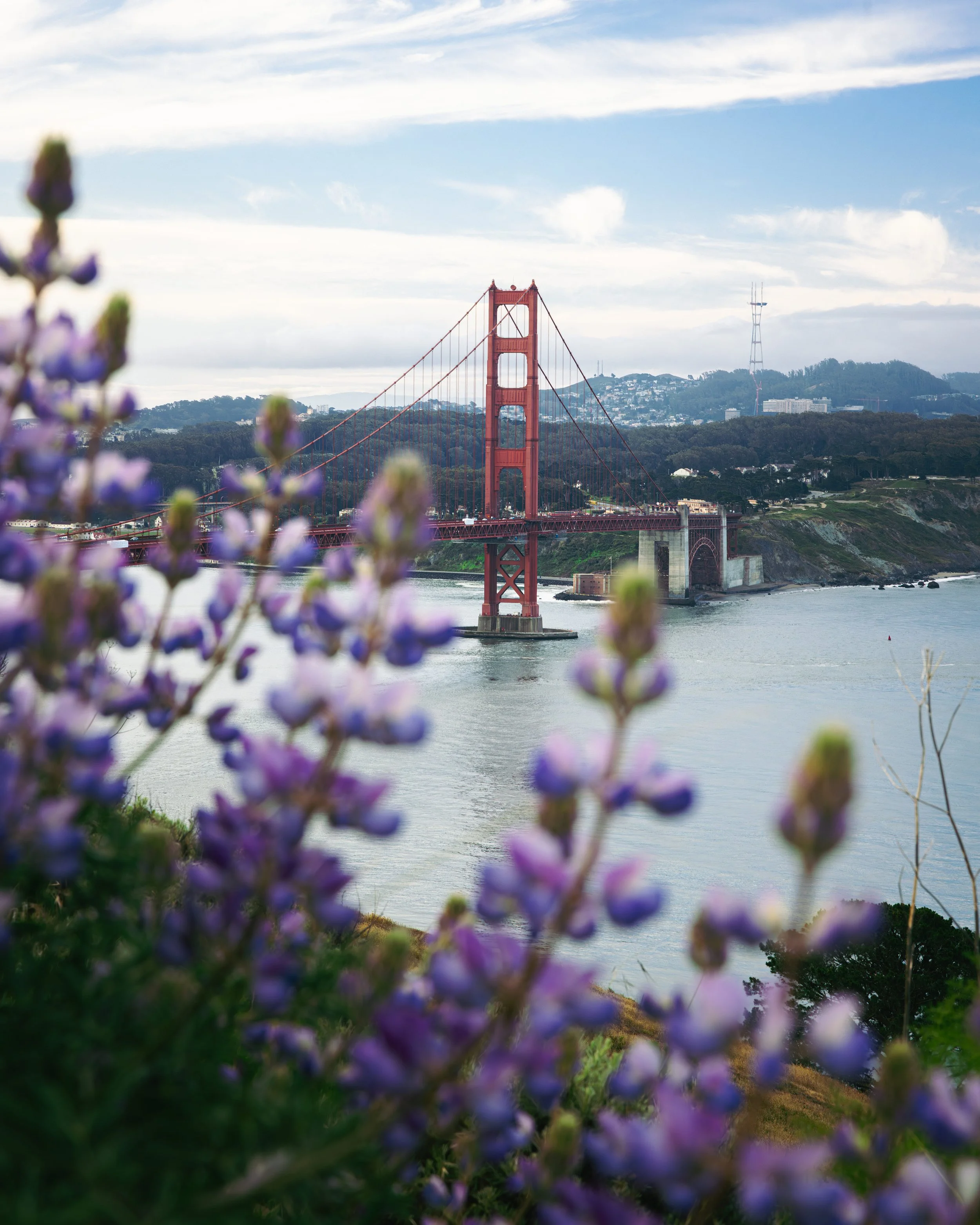 Bay Area-2.jpg