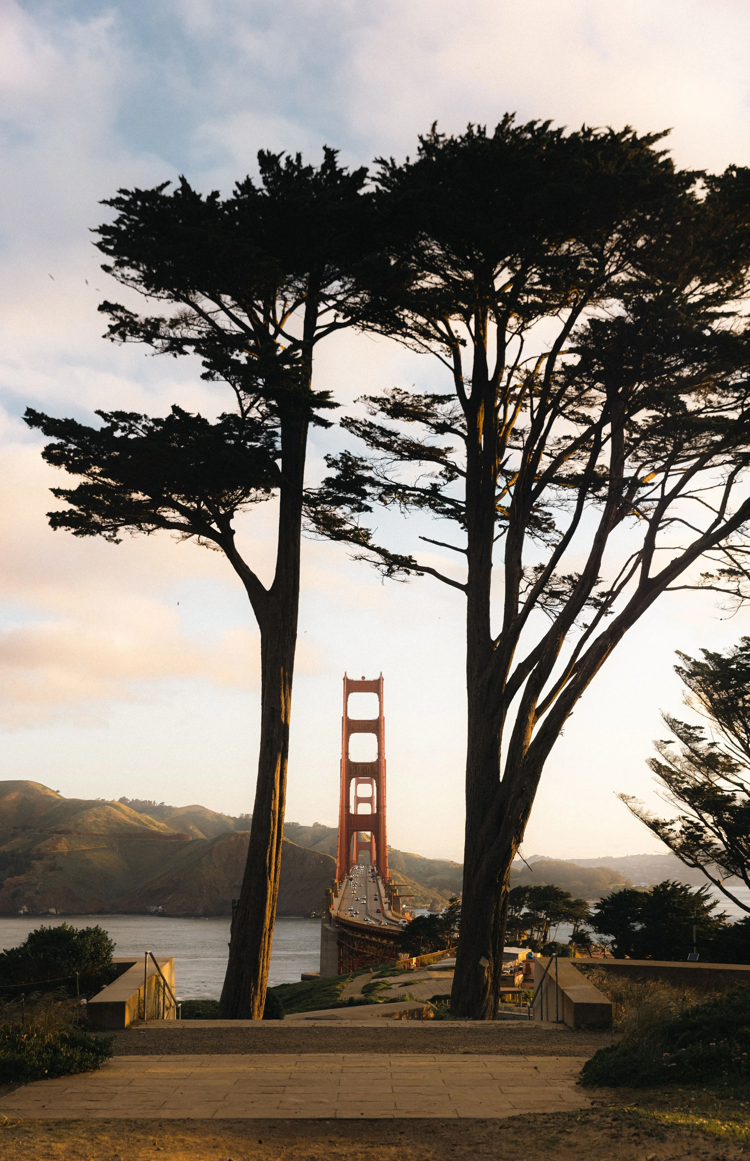 Bay Area-7.jpg