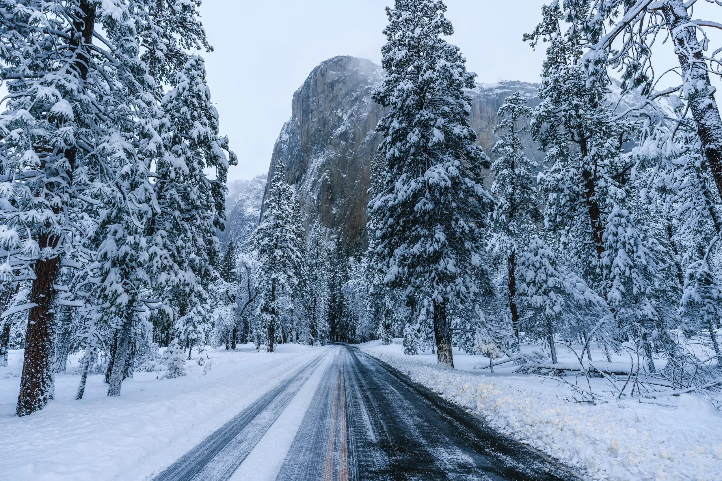 Yosemite-47.jpg