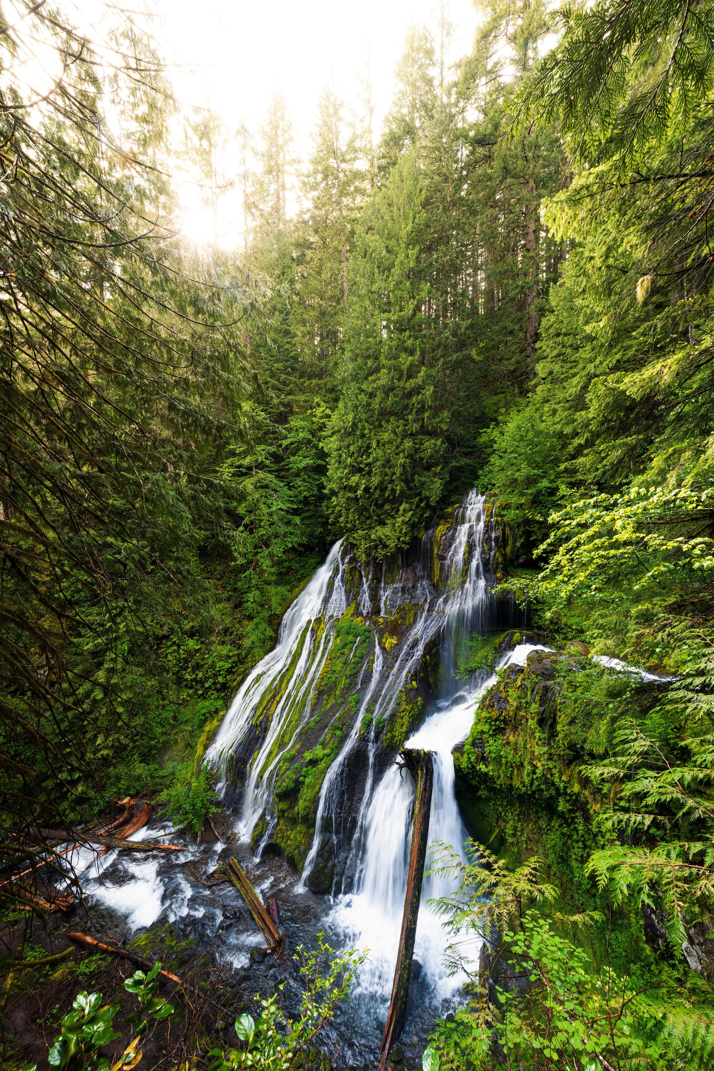 Washington-24.jpg