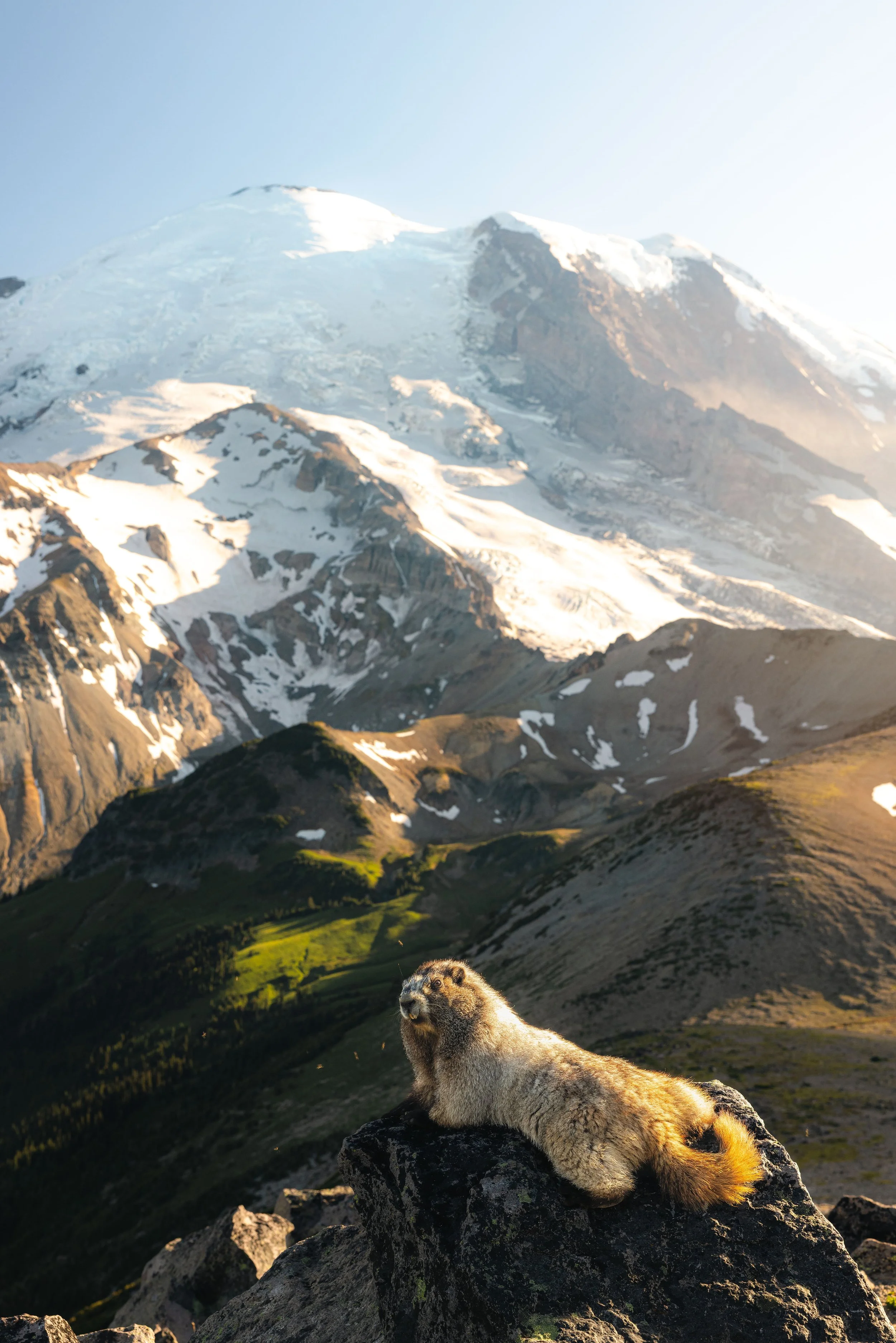 Washington-5.jpg