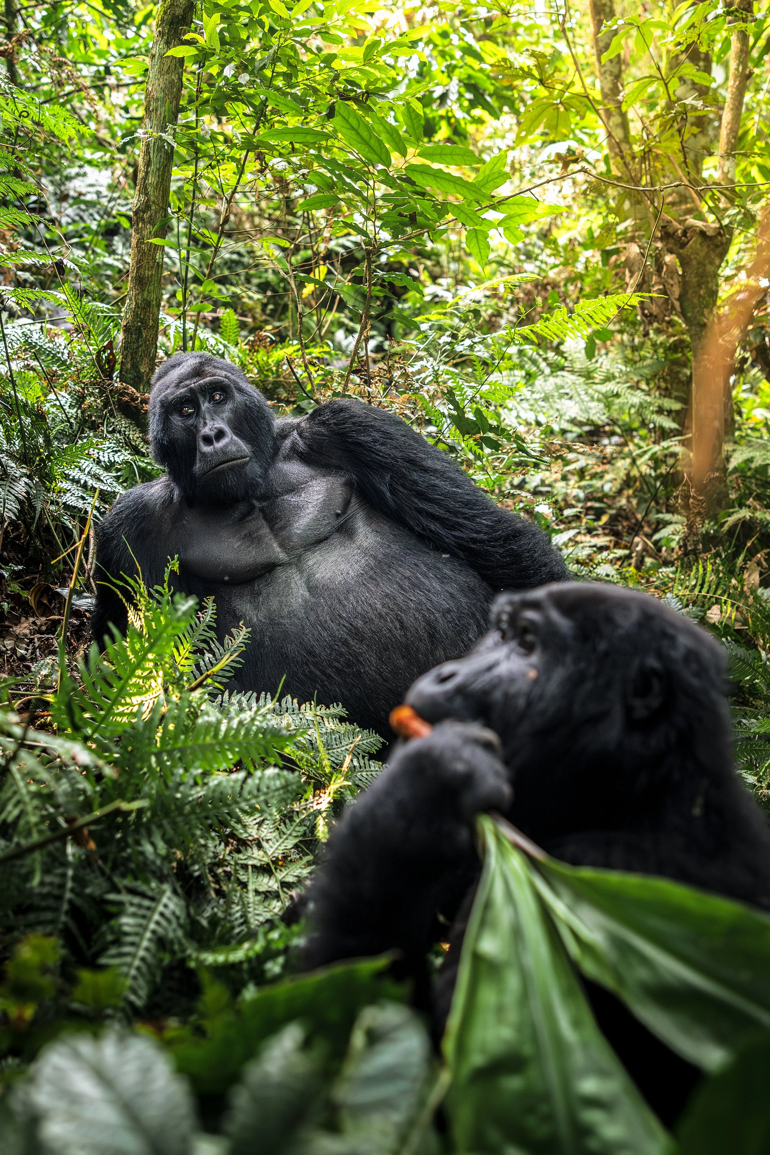 Wildlife-40.jpg