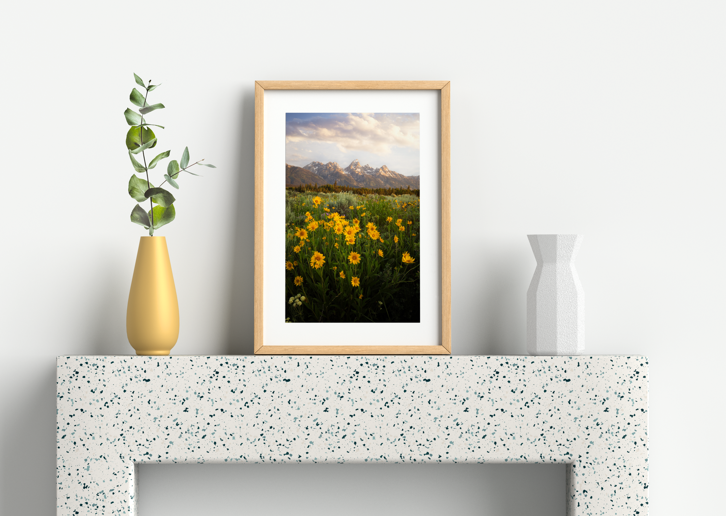 The Fields (Testing).png