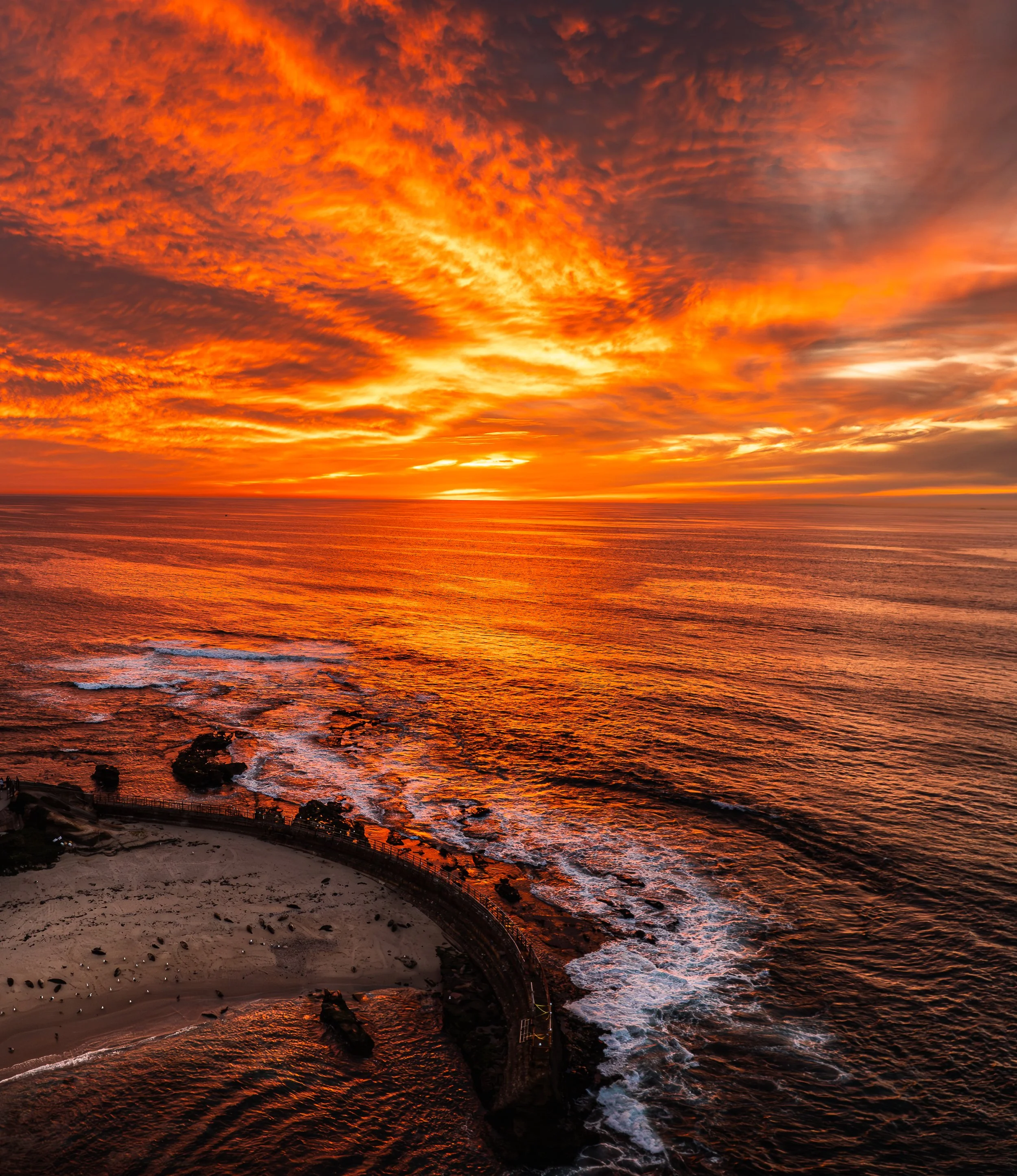 San Diego-14