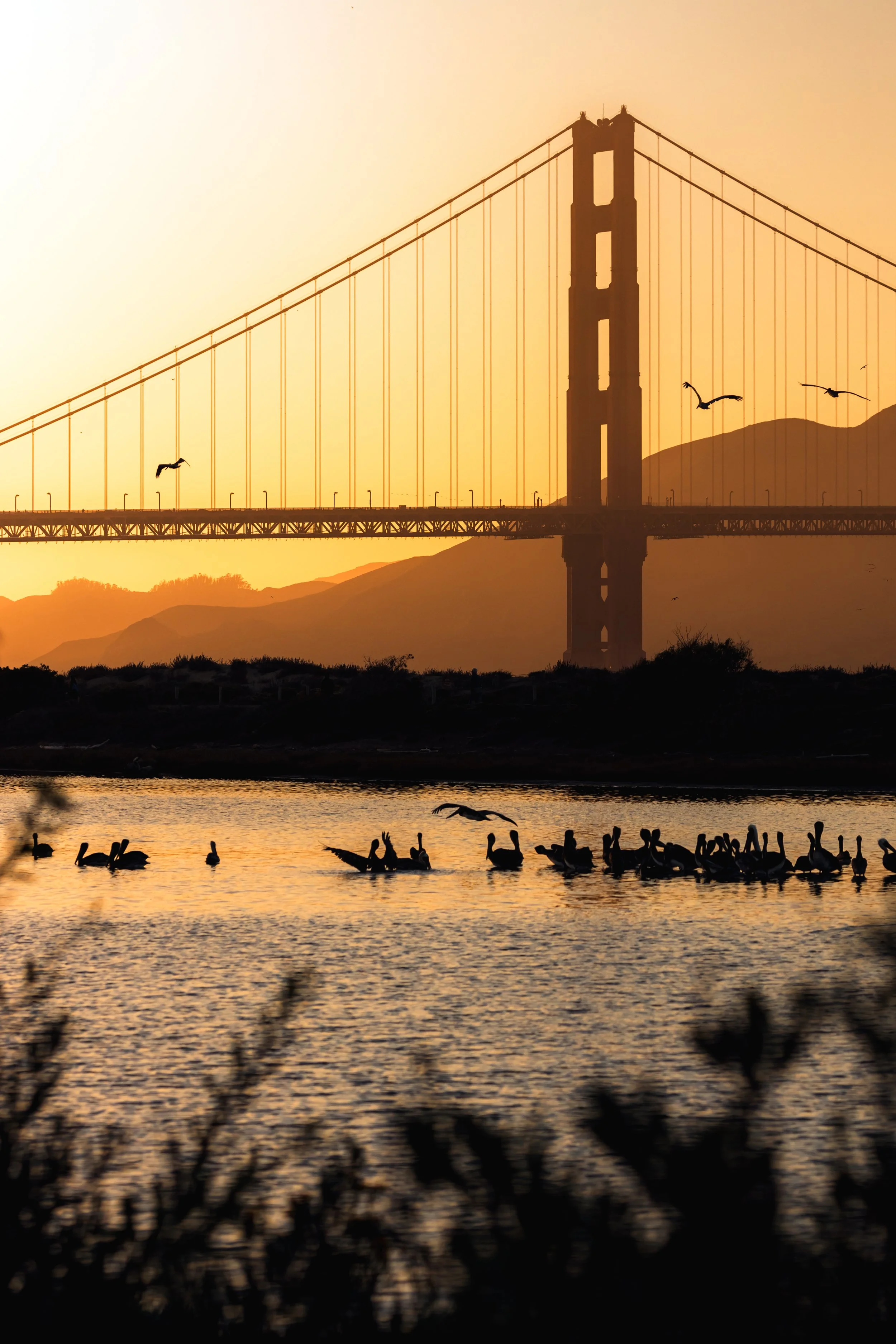 Bay Area-23.jpg