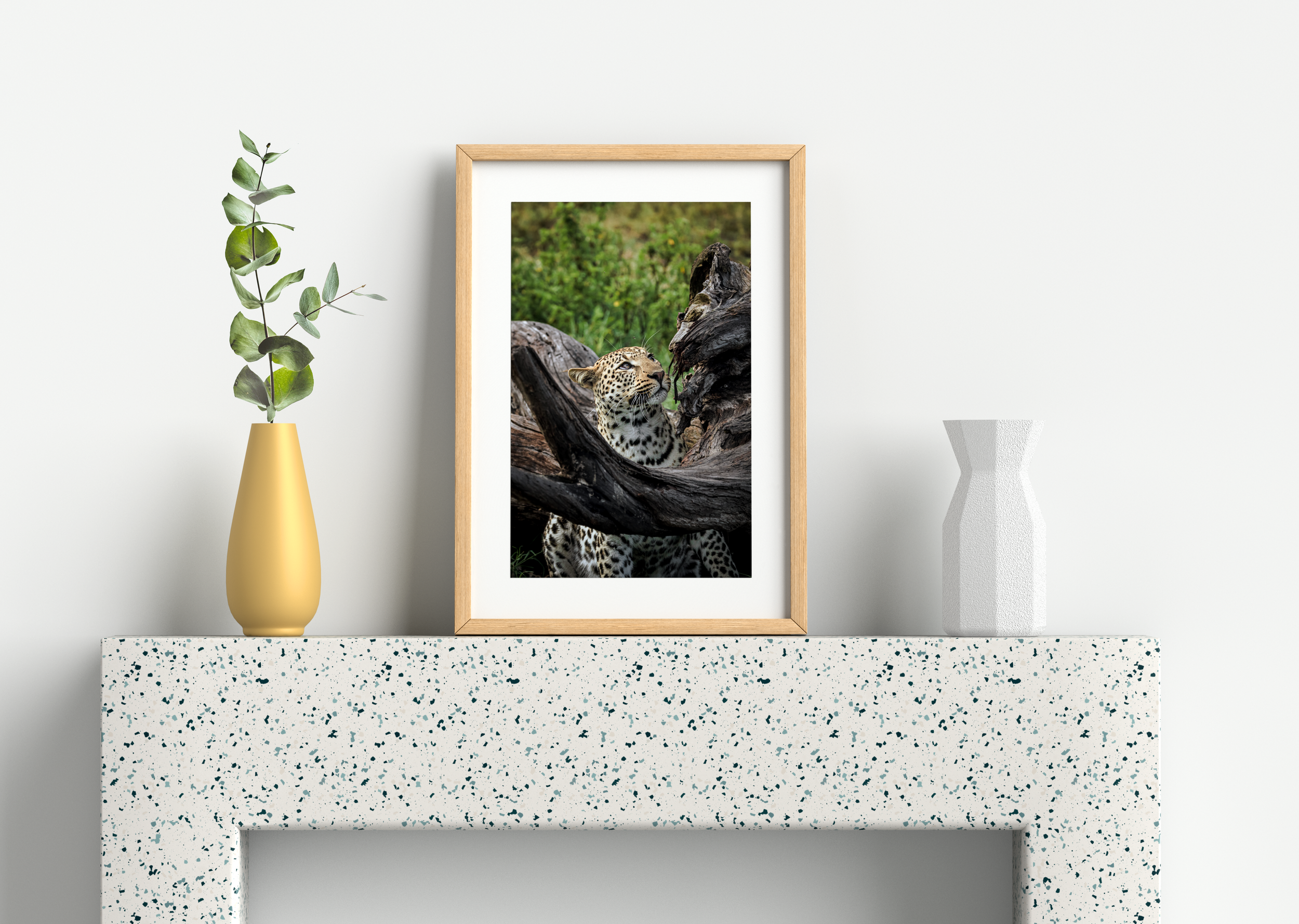 Wildlife-47.png