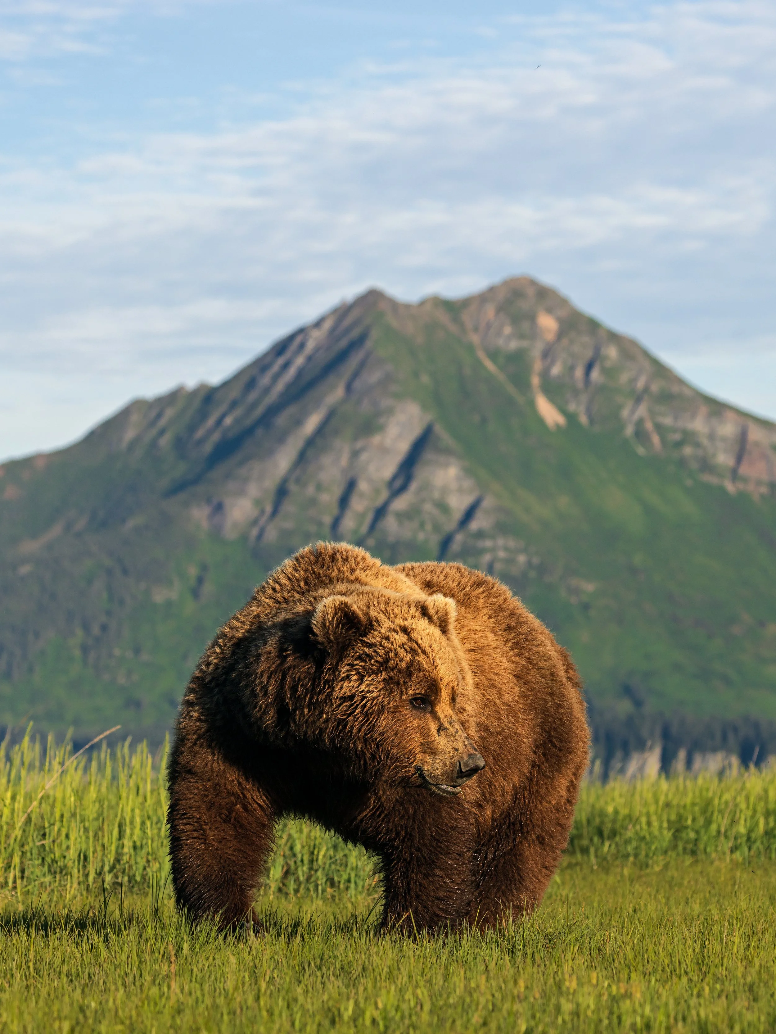 Wildlife-46.jpg