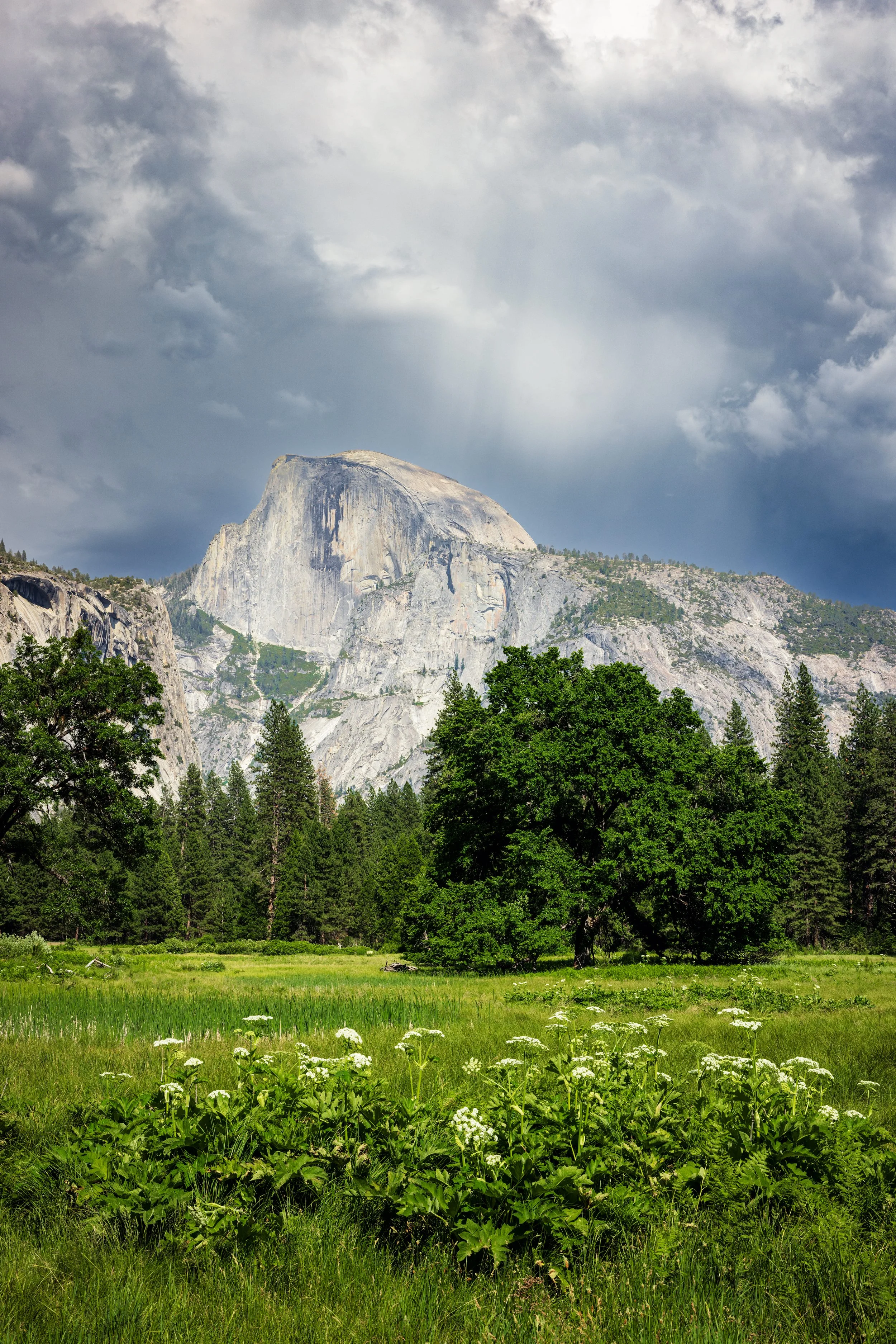 Yosemite-36.jpg