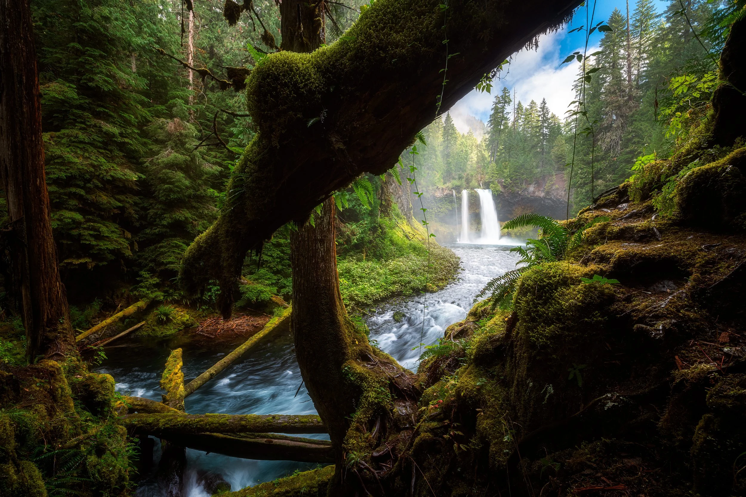 Oregon-7.jpg