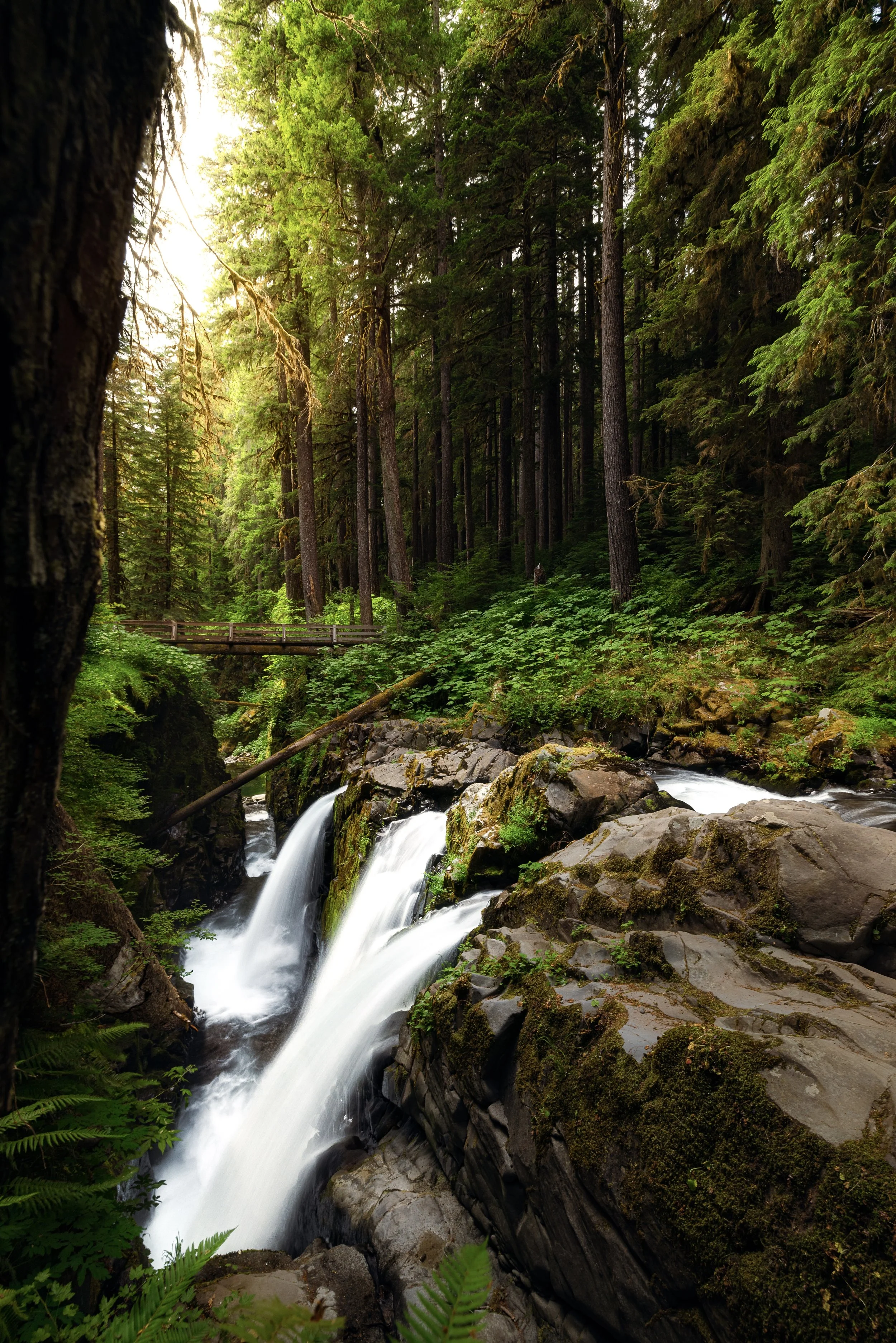 Washington-26.jpg