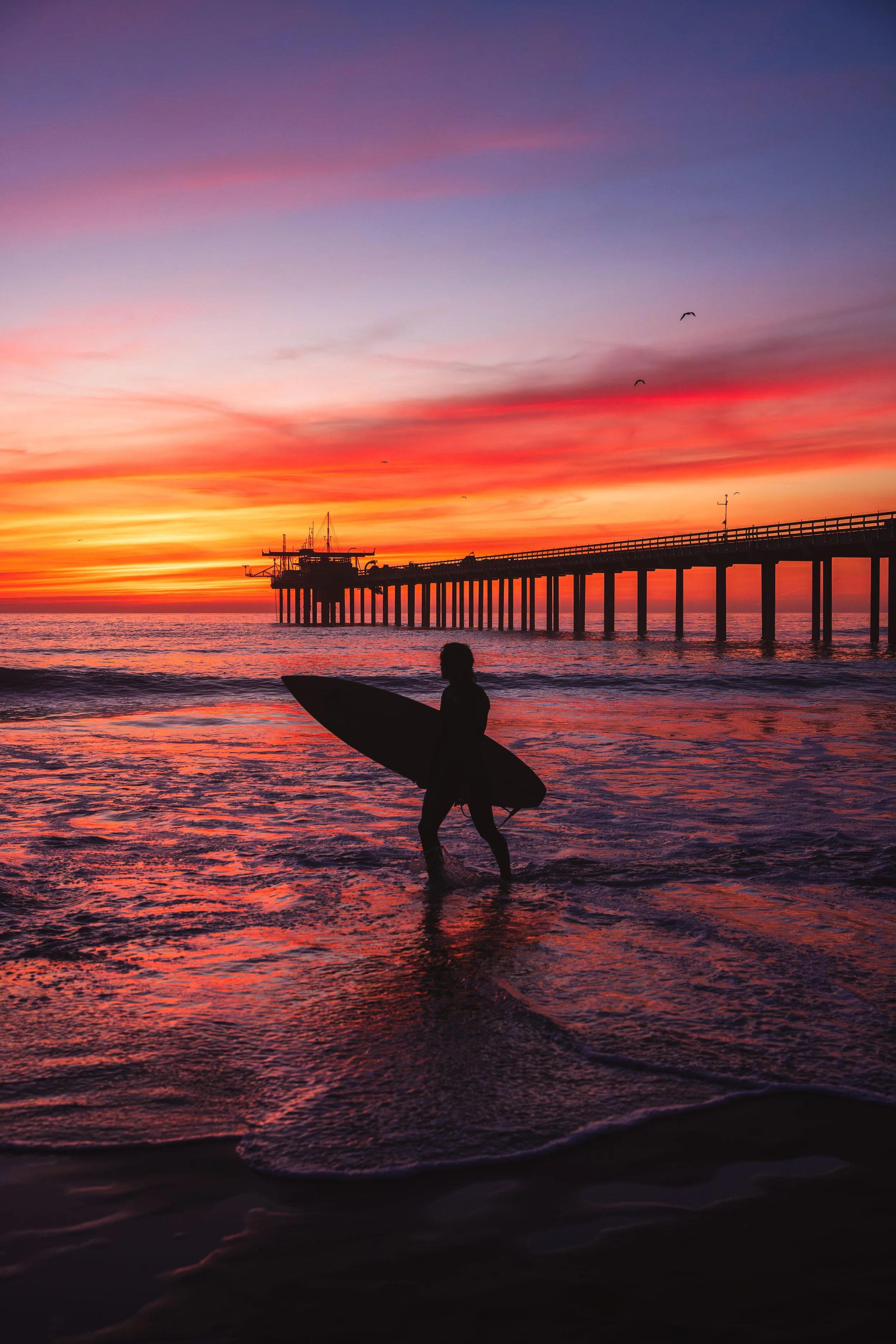 San Diego-5.jpg