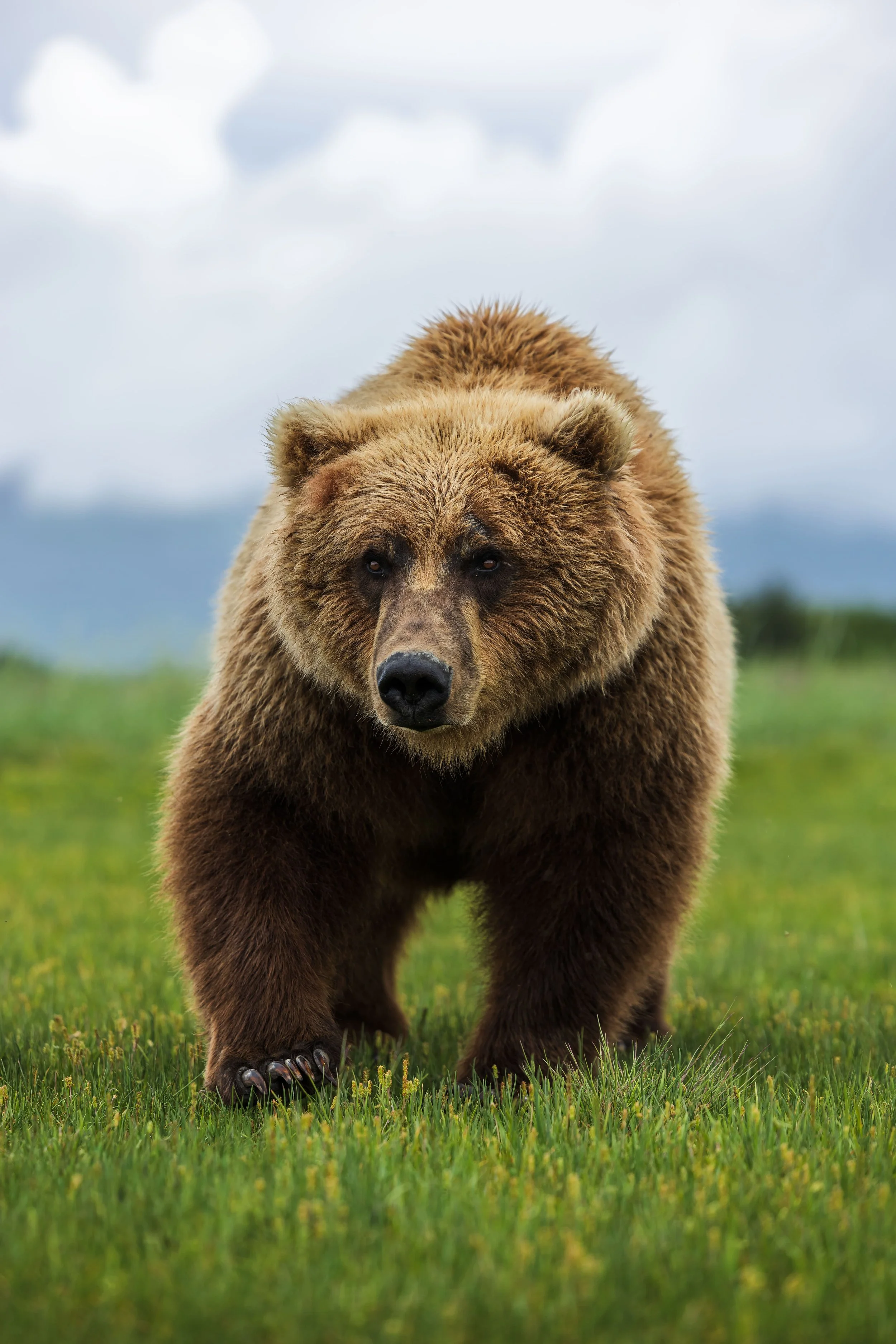Wildlife-21.jpg