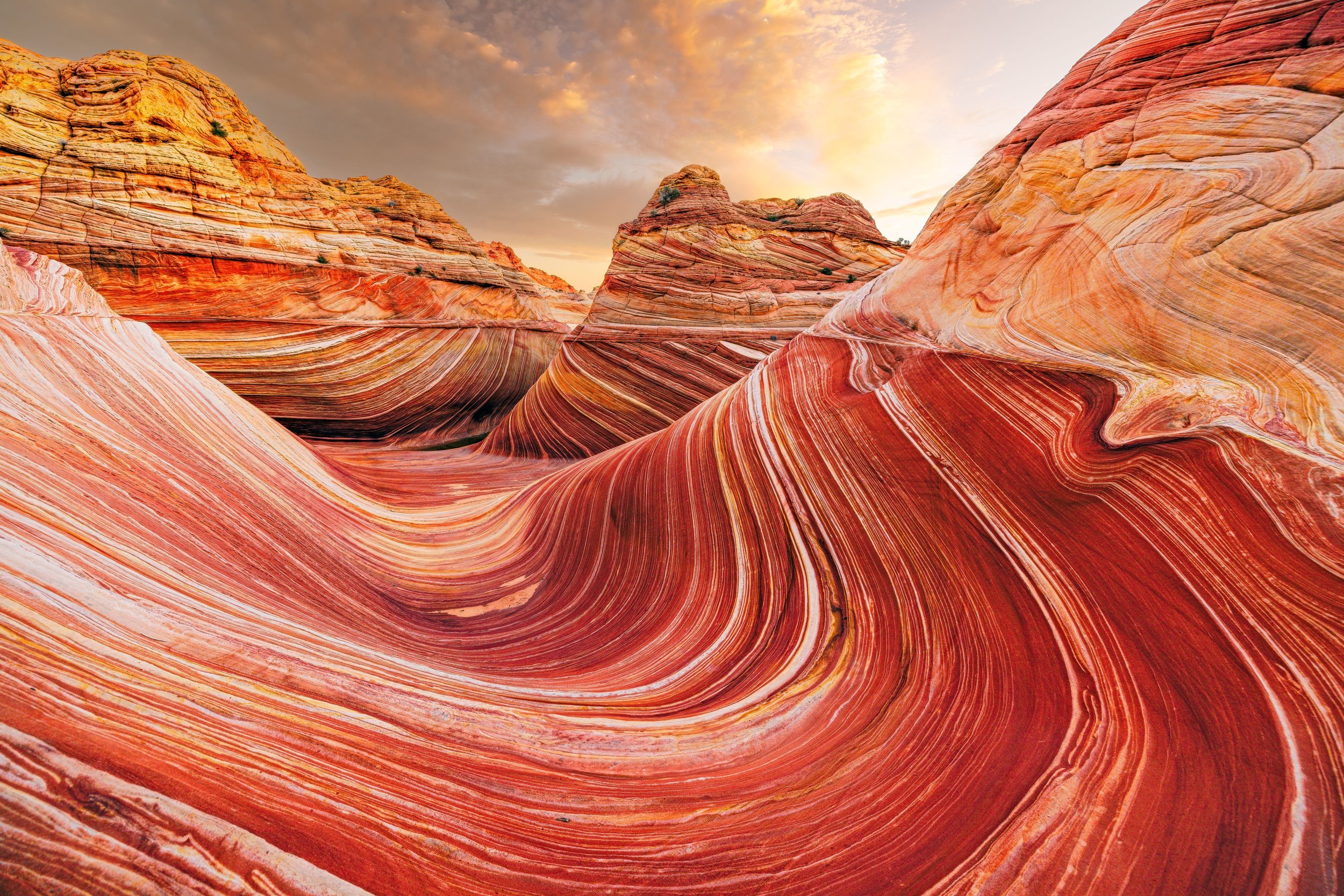 Arizona-3.jpg
