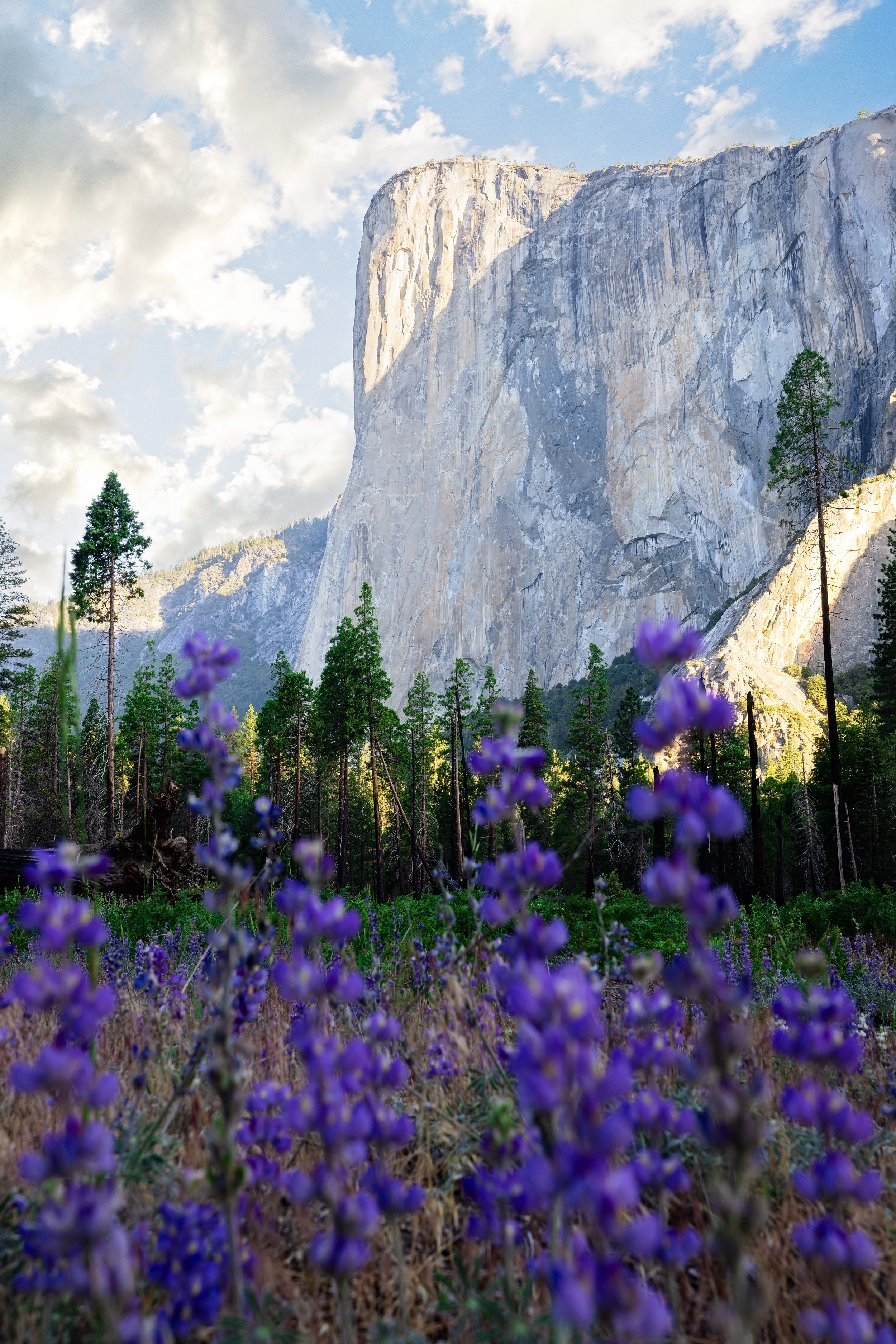 Yosemite-39.jpg