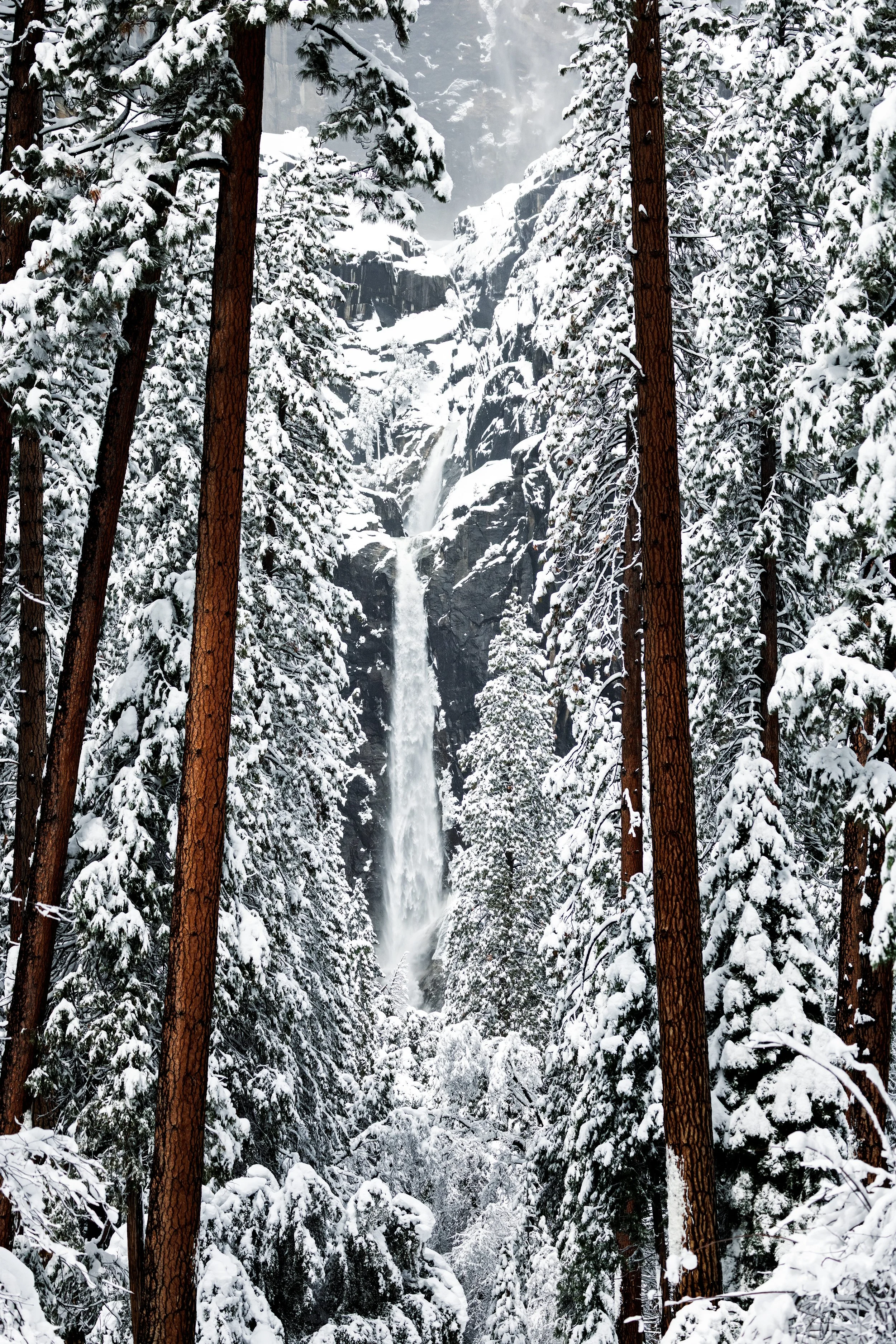 Yosemite-14.jpg