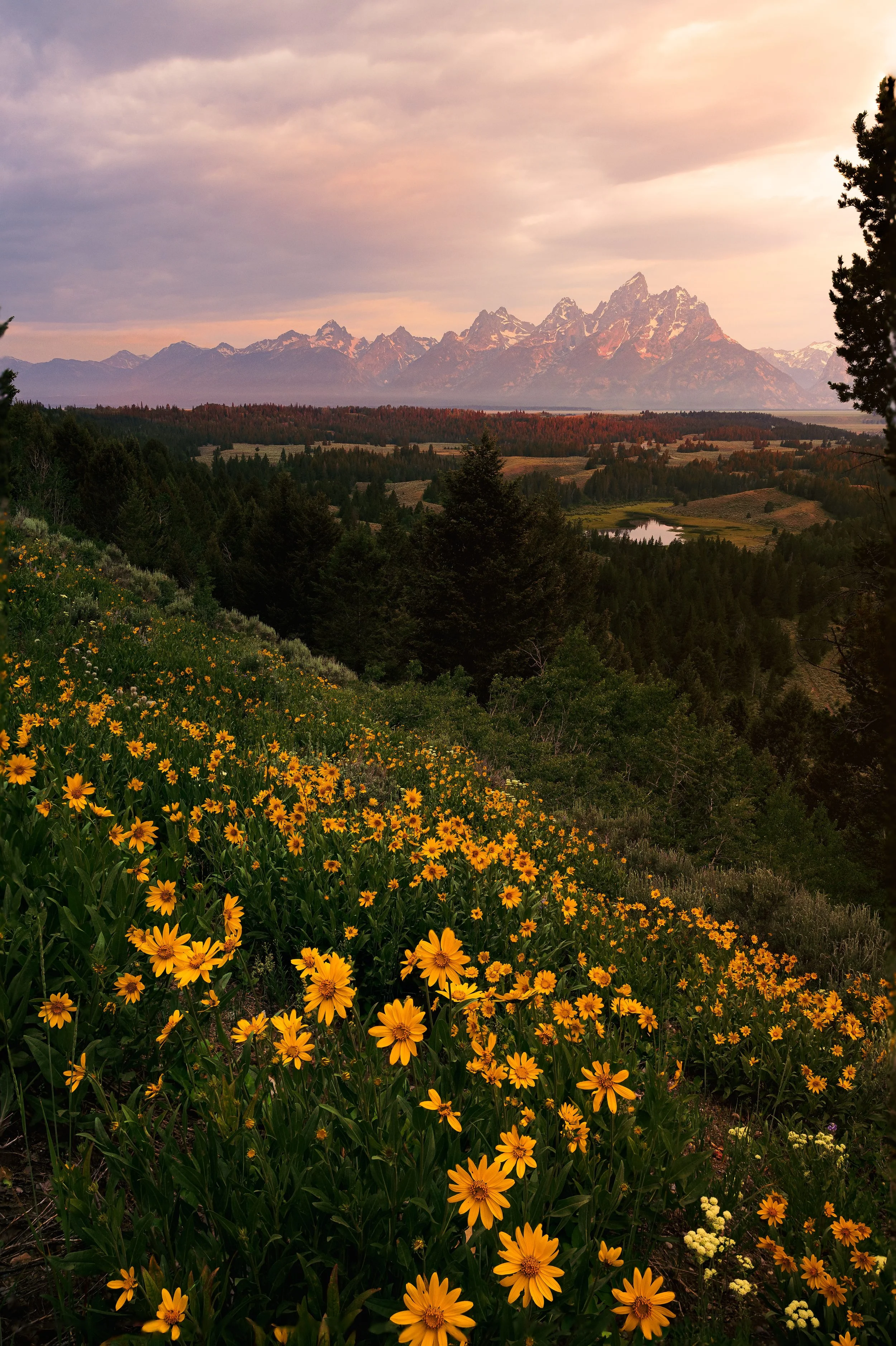 Wyoming-17.jpg