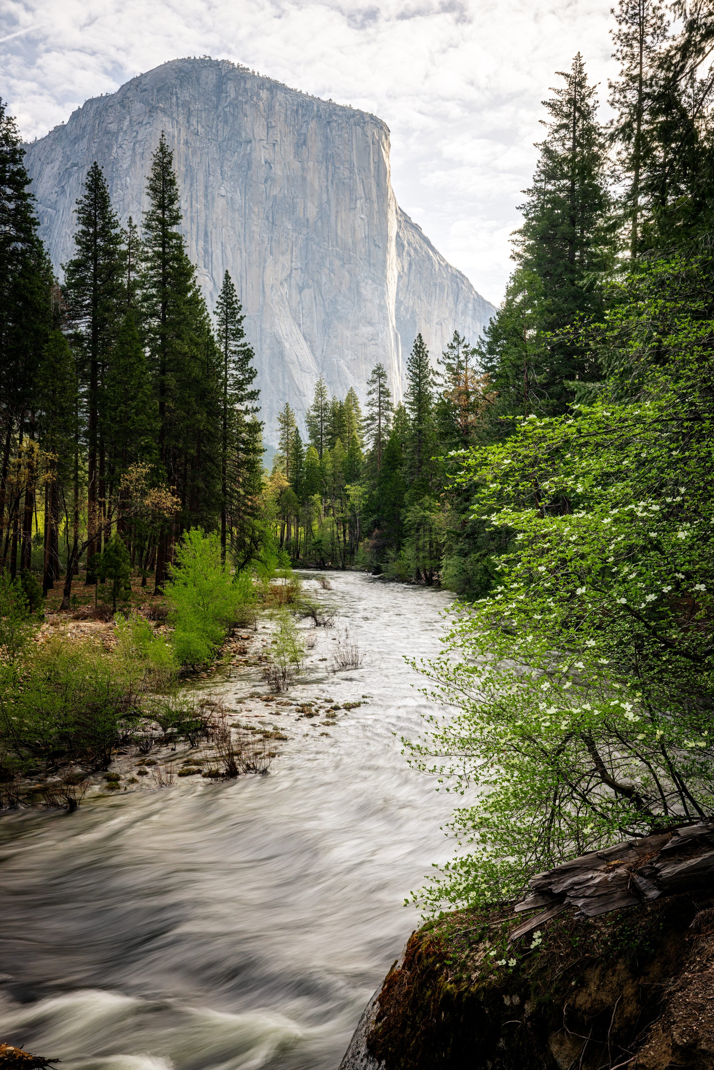 Yosemite-49.jpg