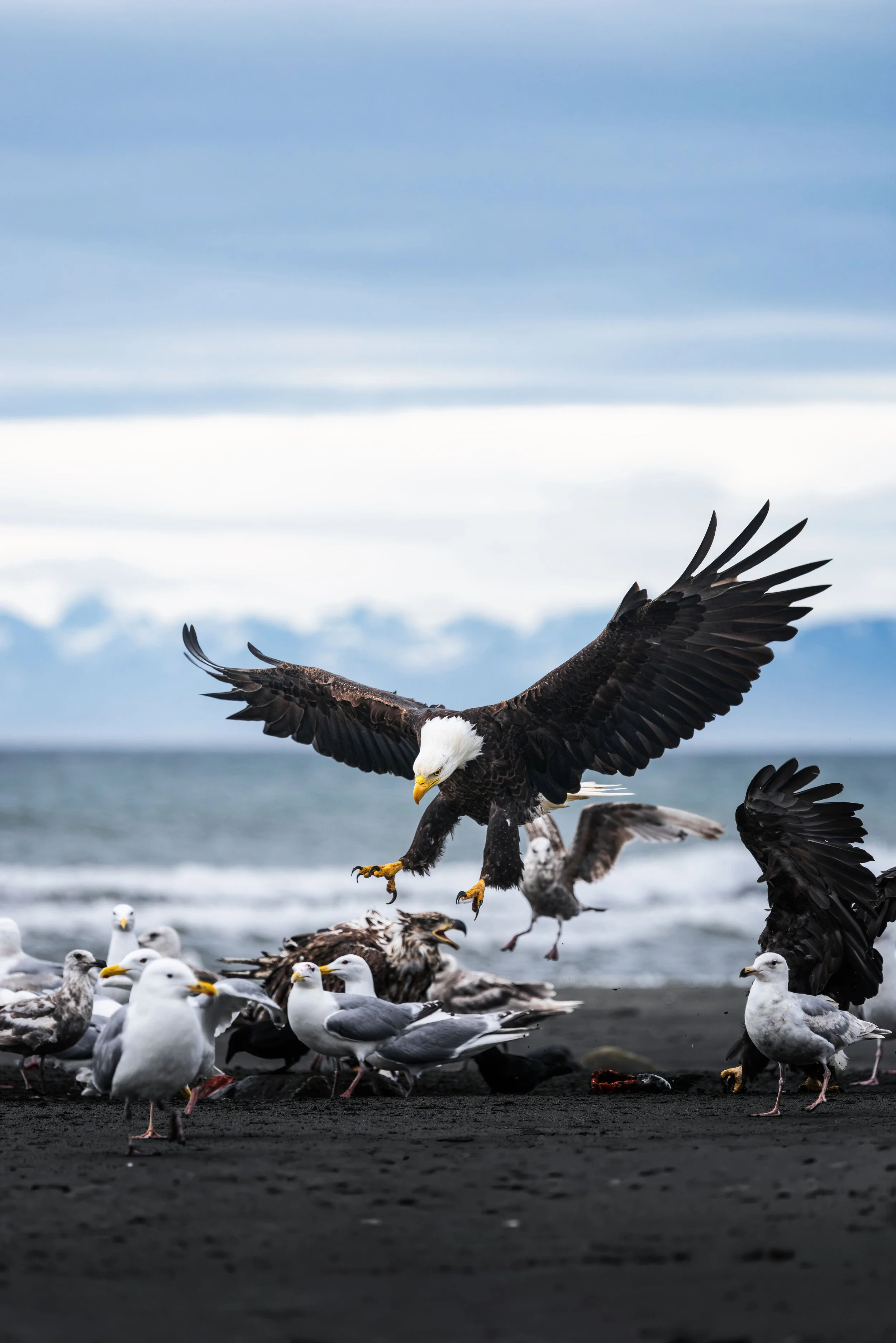 Wildlife-26