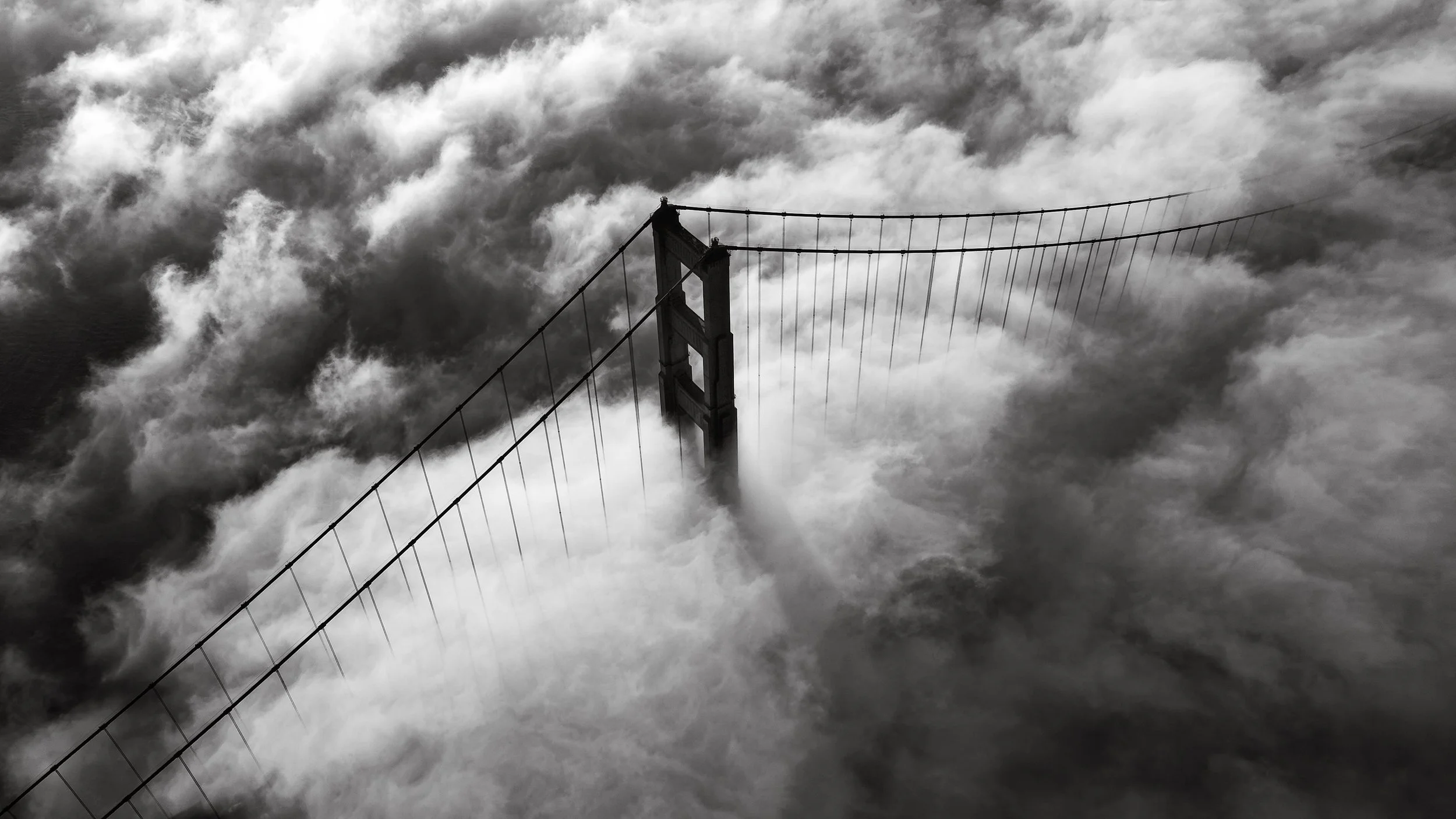 Bay Area-19.jpg