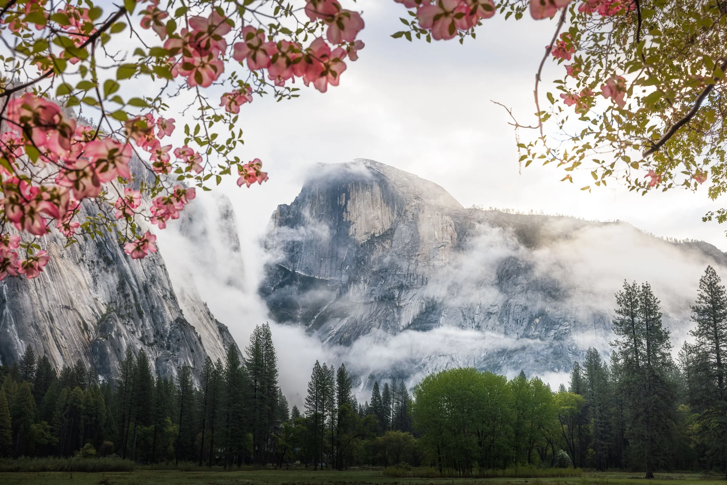 Yosemite-22.jpg