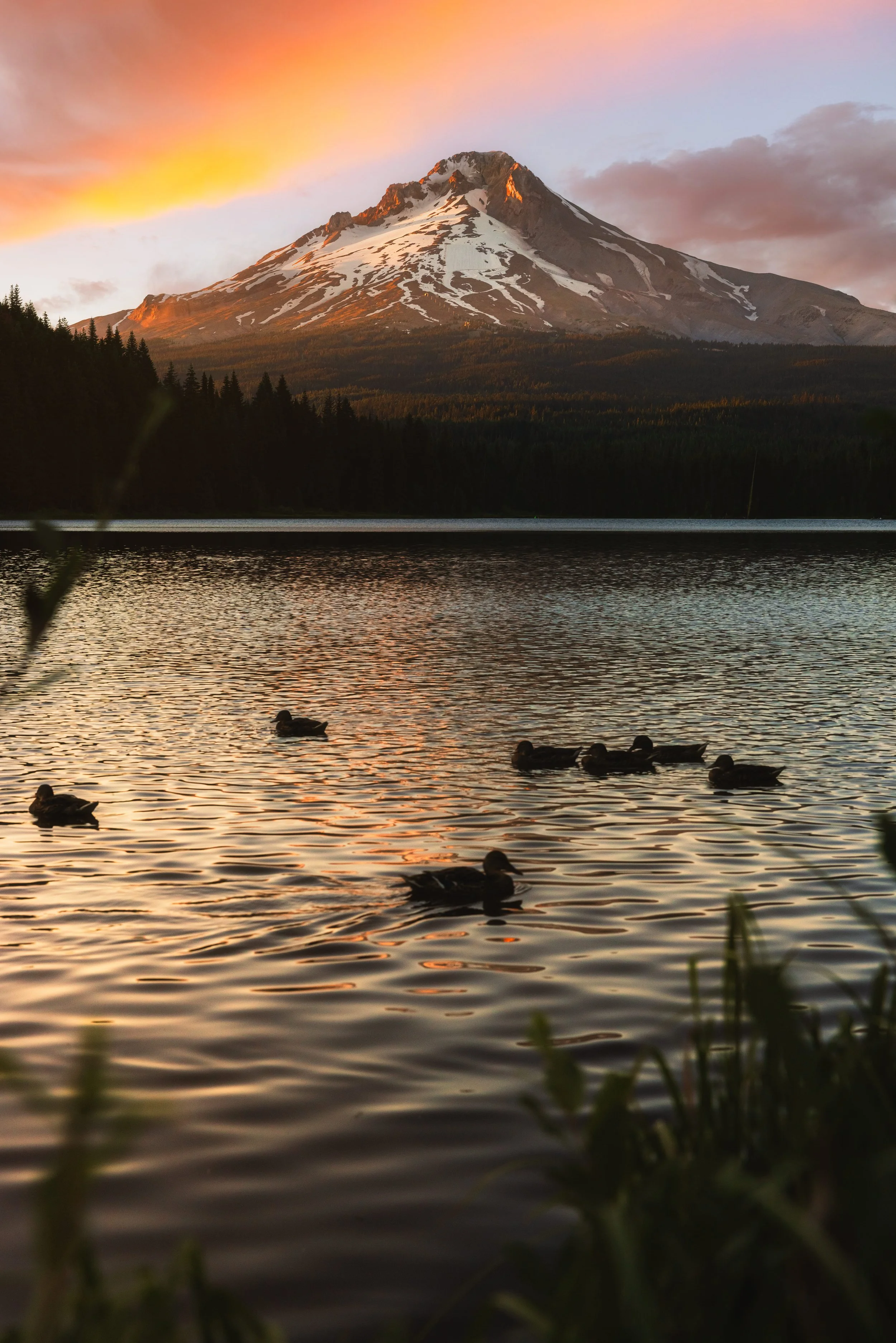 Oregon-5.jpg