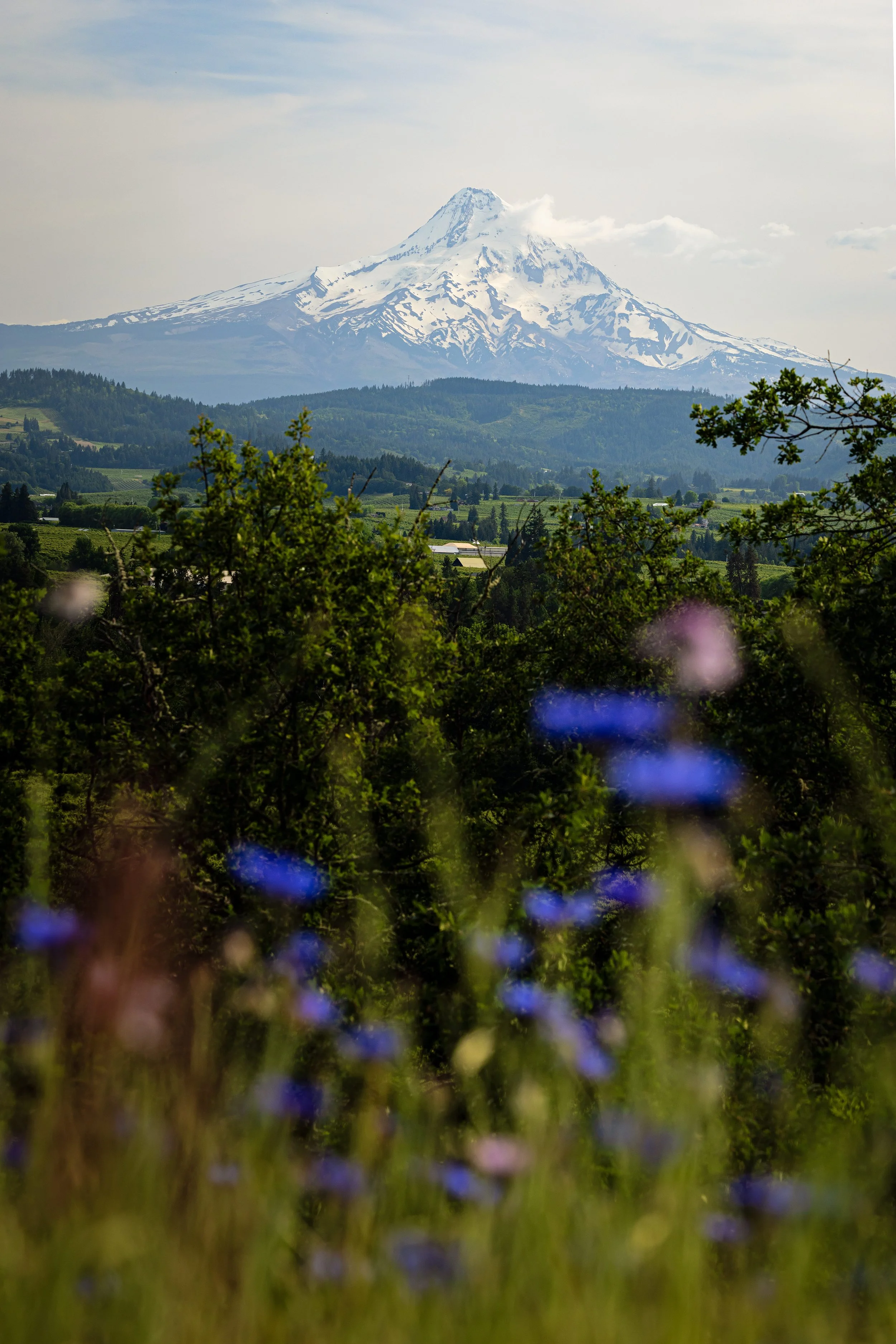 Oregon-1.jpg