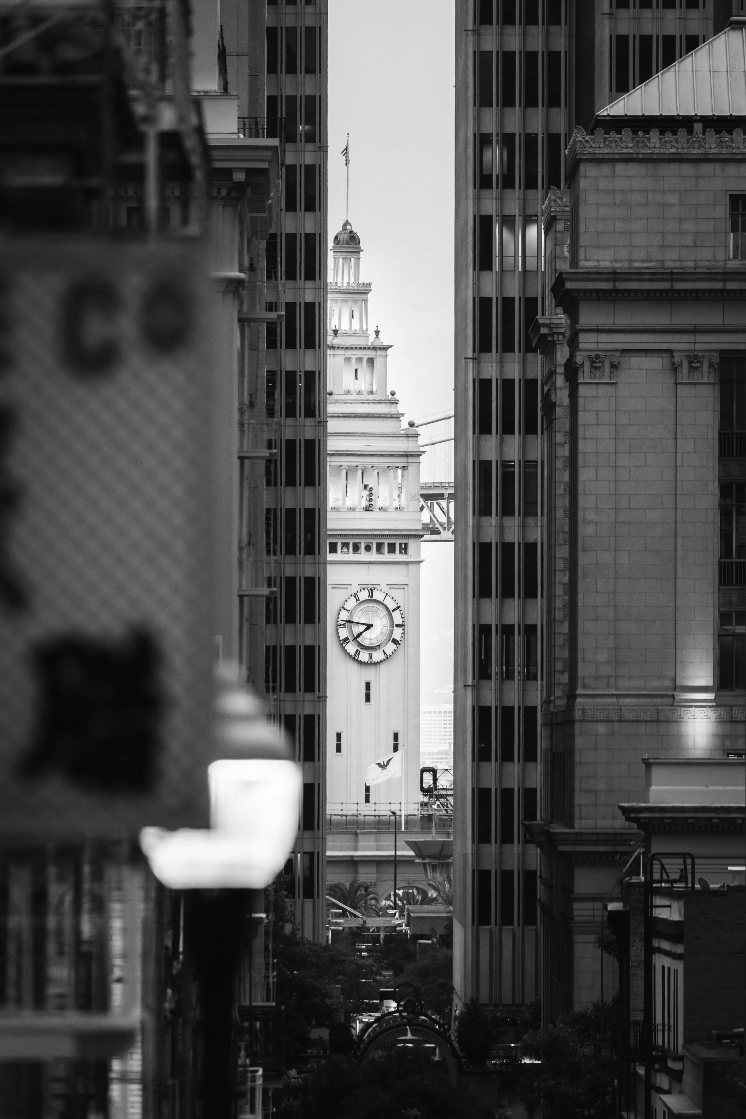 Bay Area-12.jpg