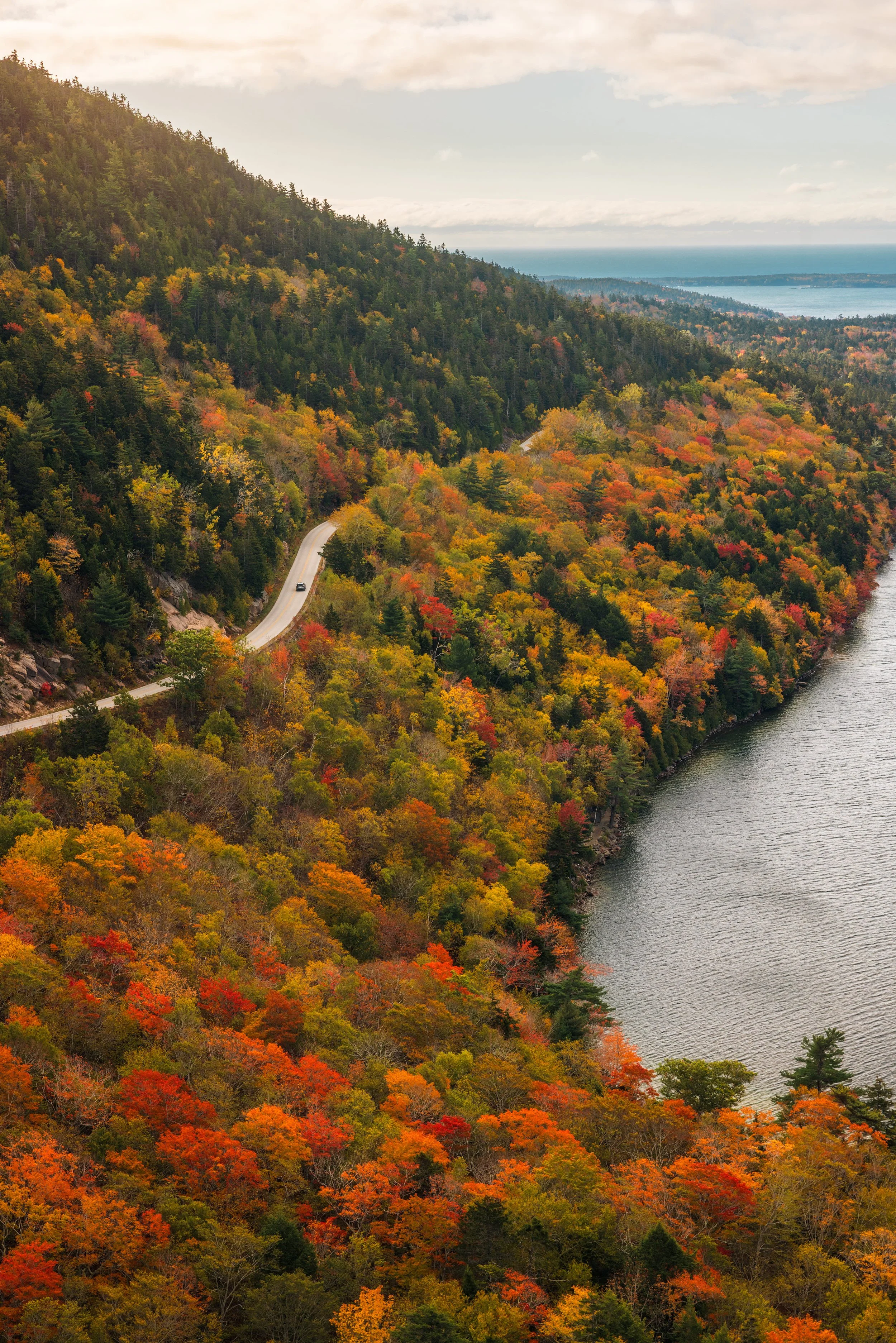 Maine-4.jpg