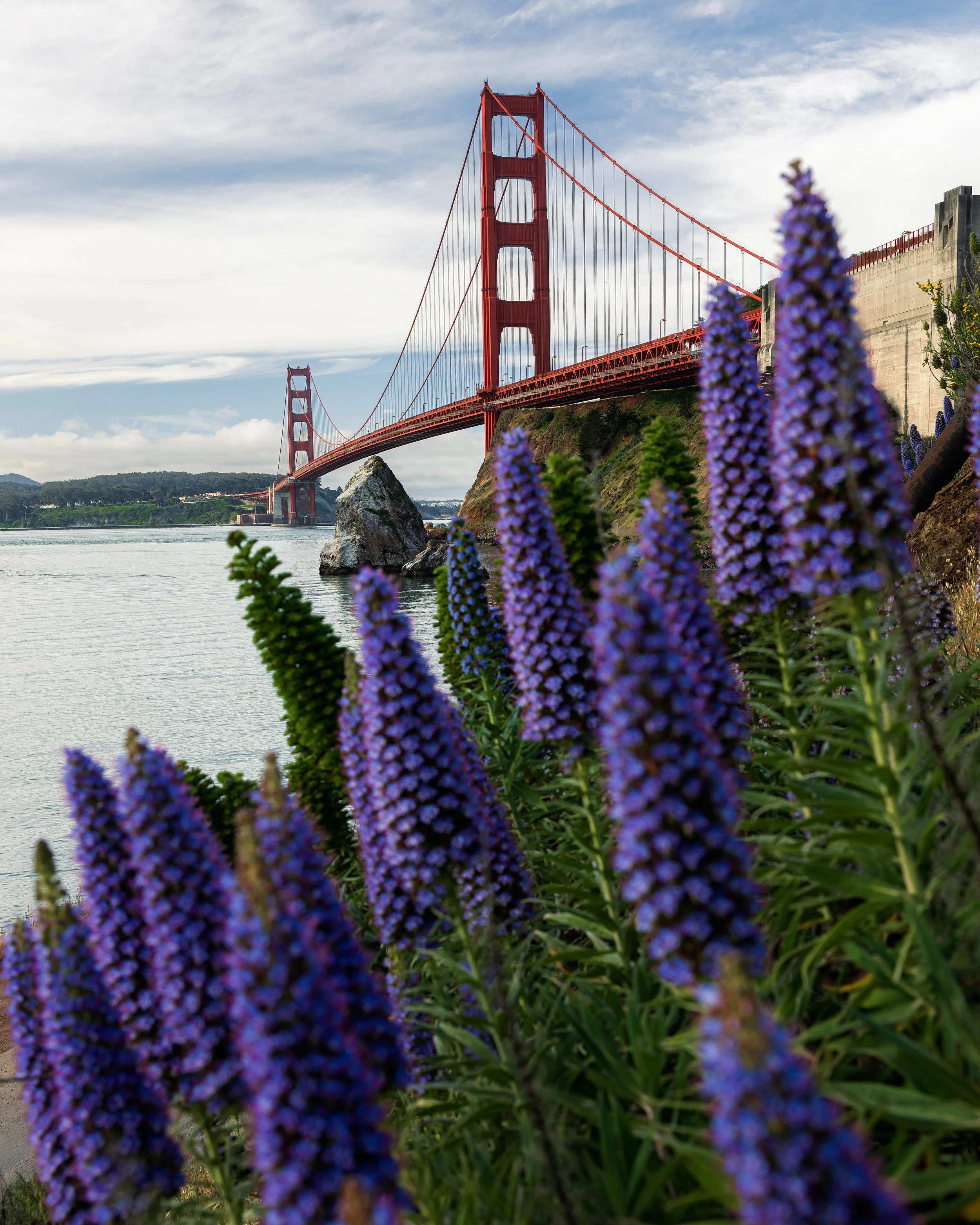 Bay Area-3.jpg