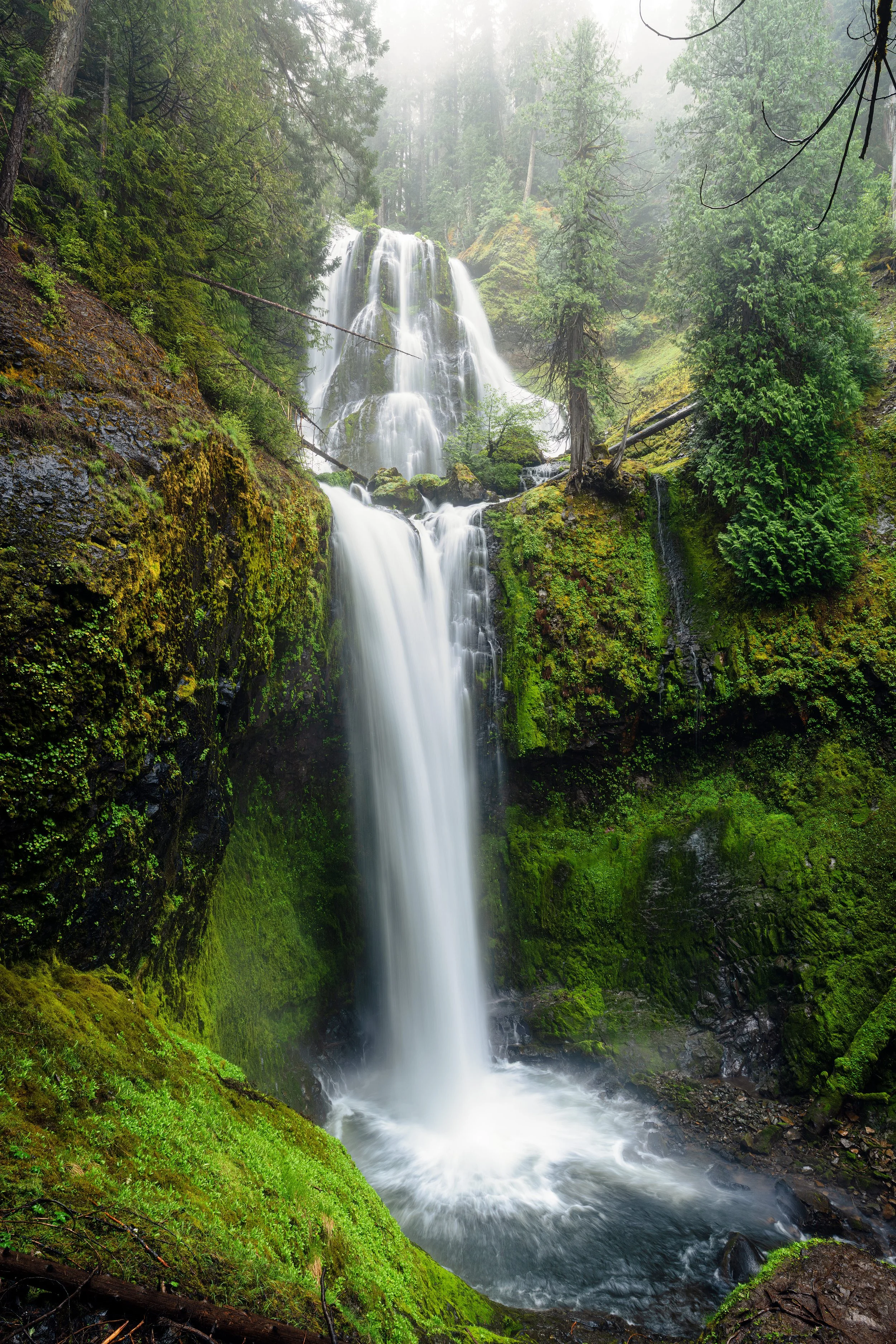Washington-19