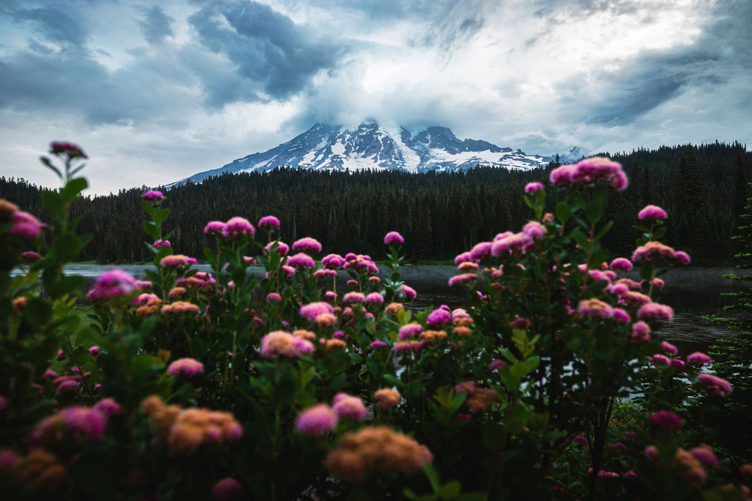 Washington-2.jpg