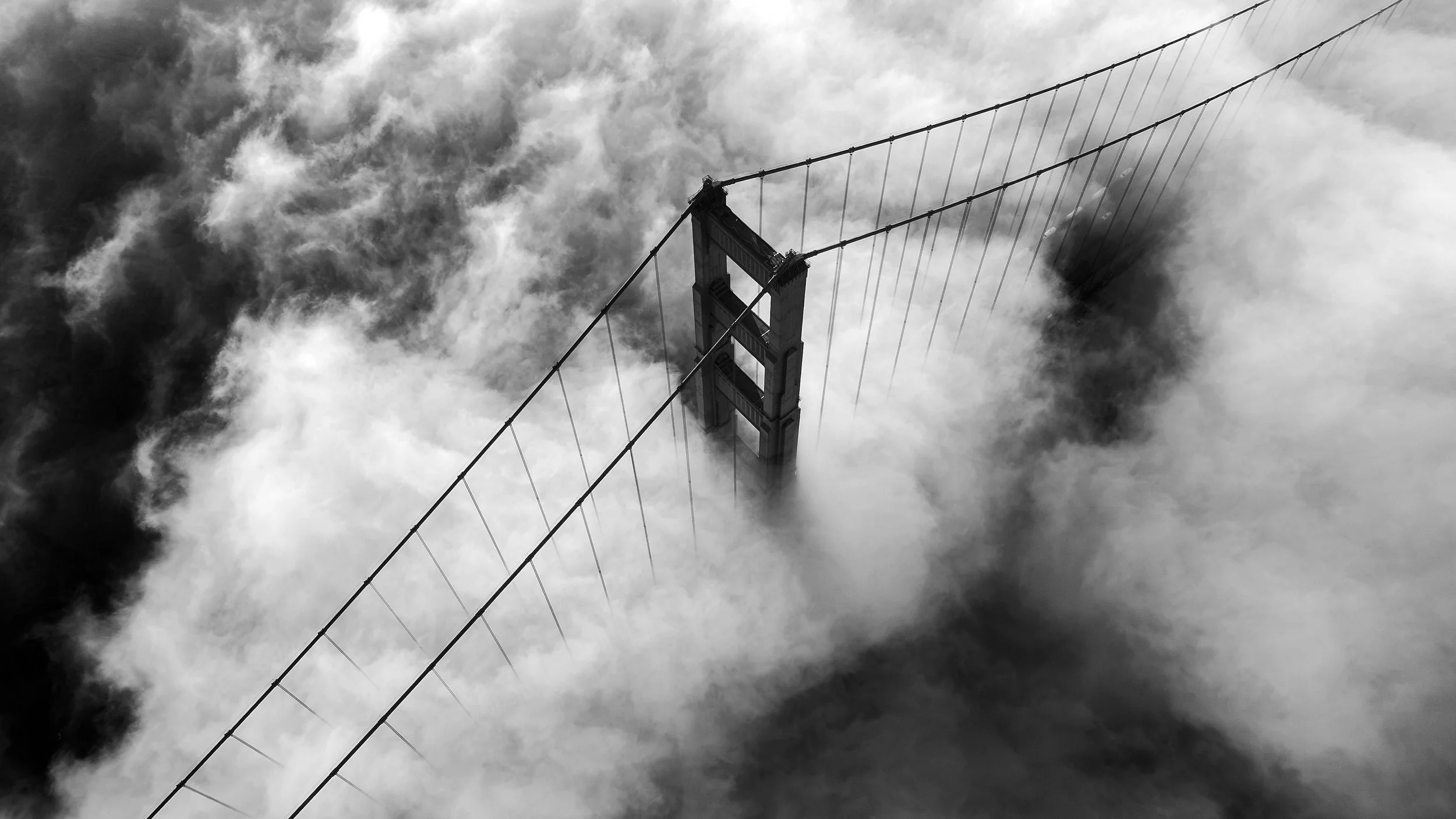 Bay Area-20.jpg
