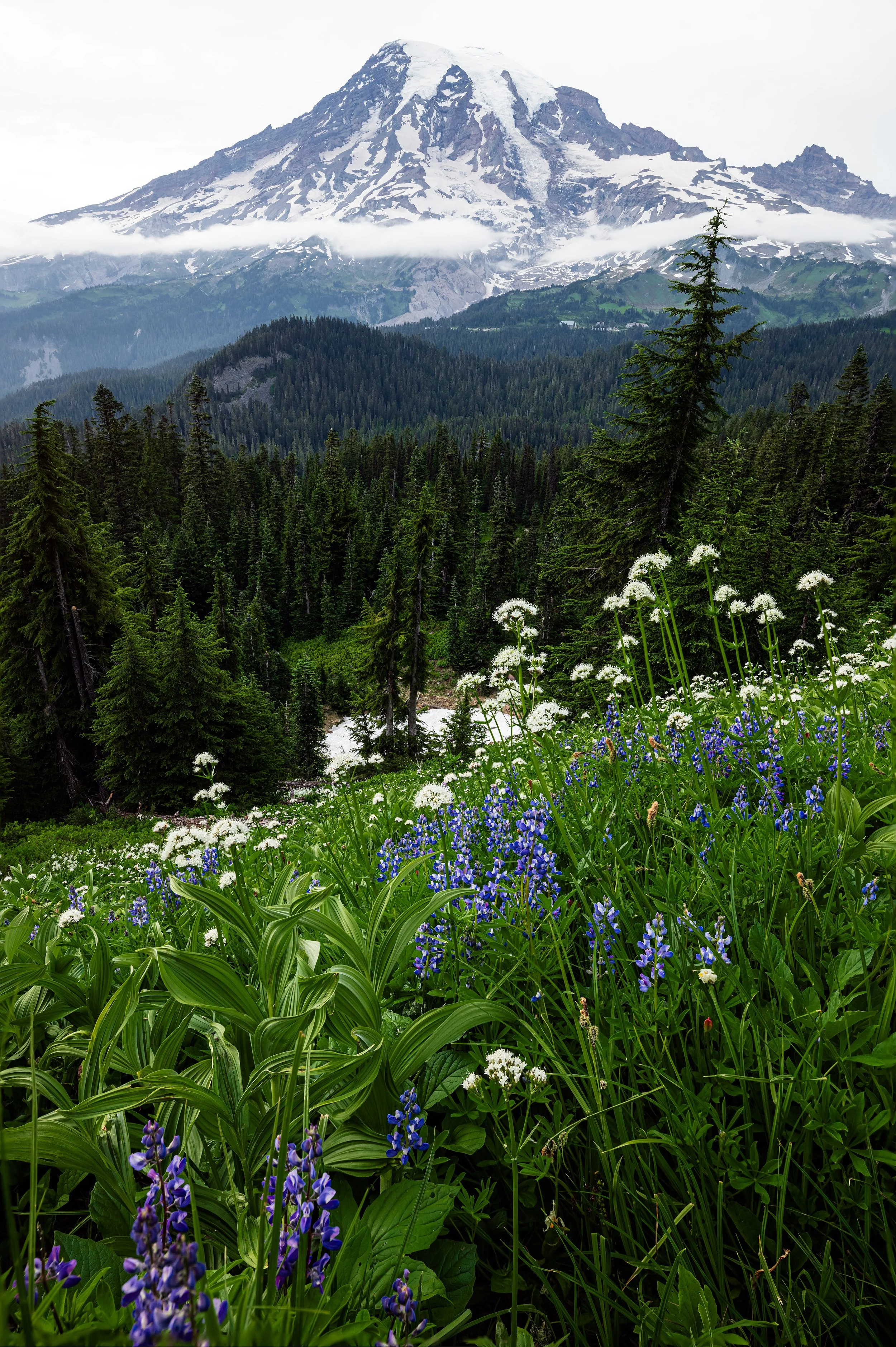 Washington-9.jpg