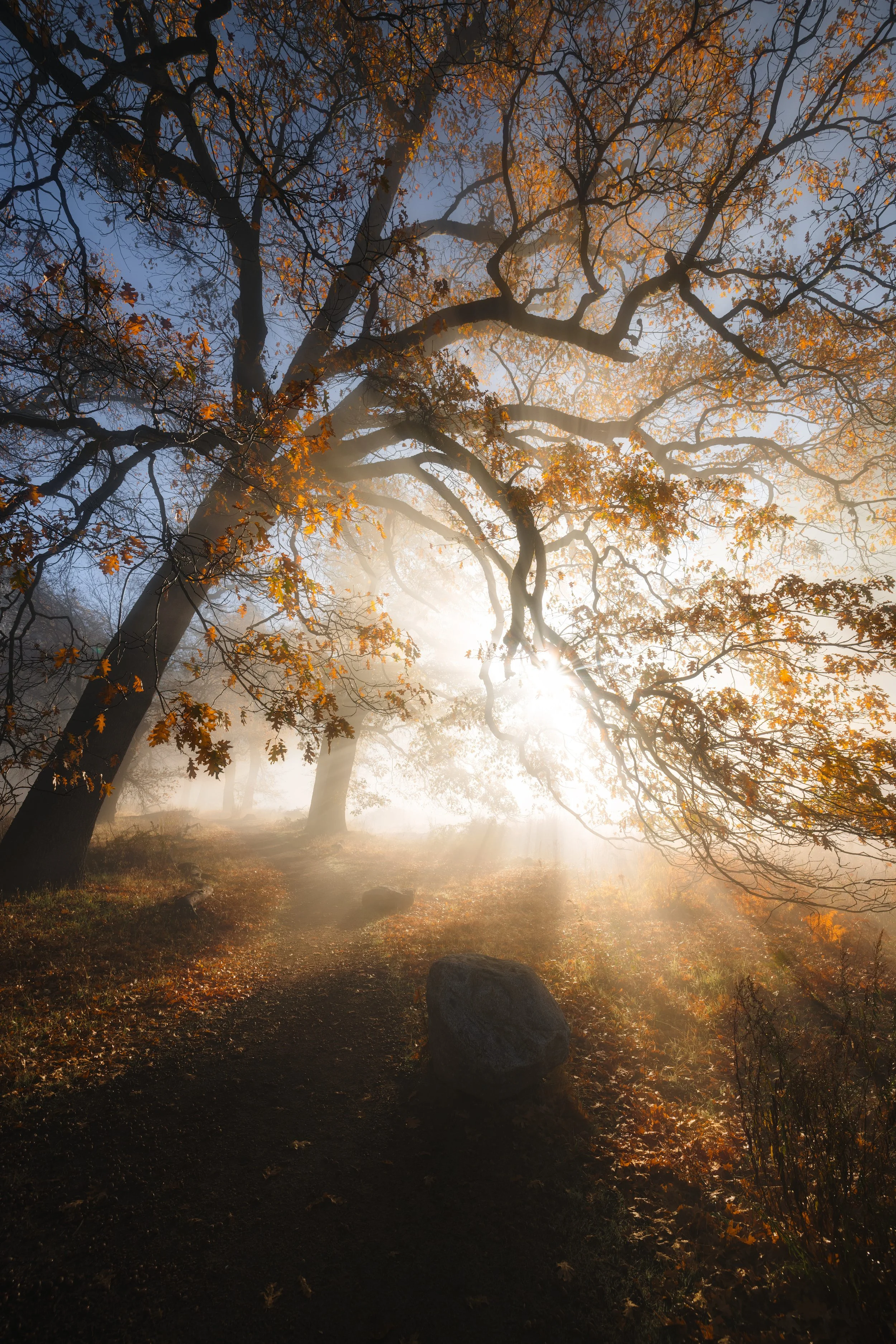 Yosemite-35.jpg