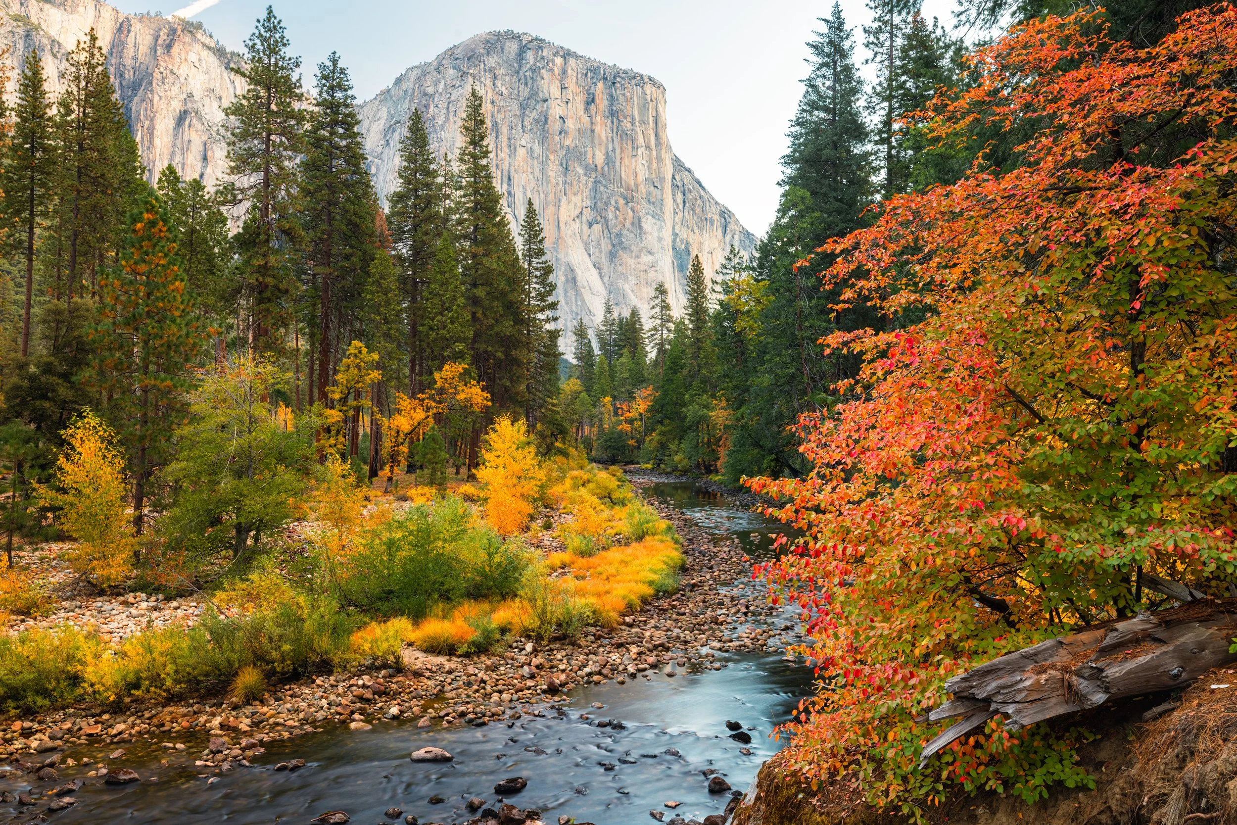 Yosemite-34.jpg