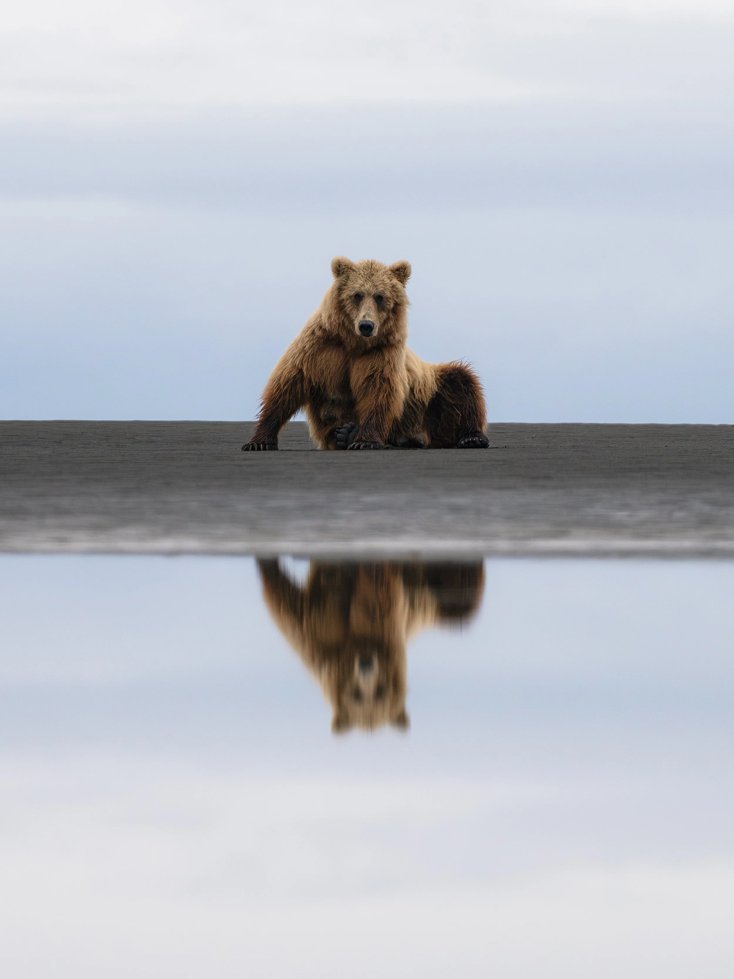 Wildlife-55.jpg
