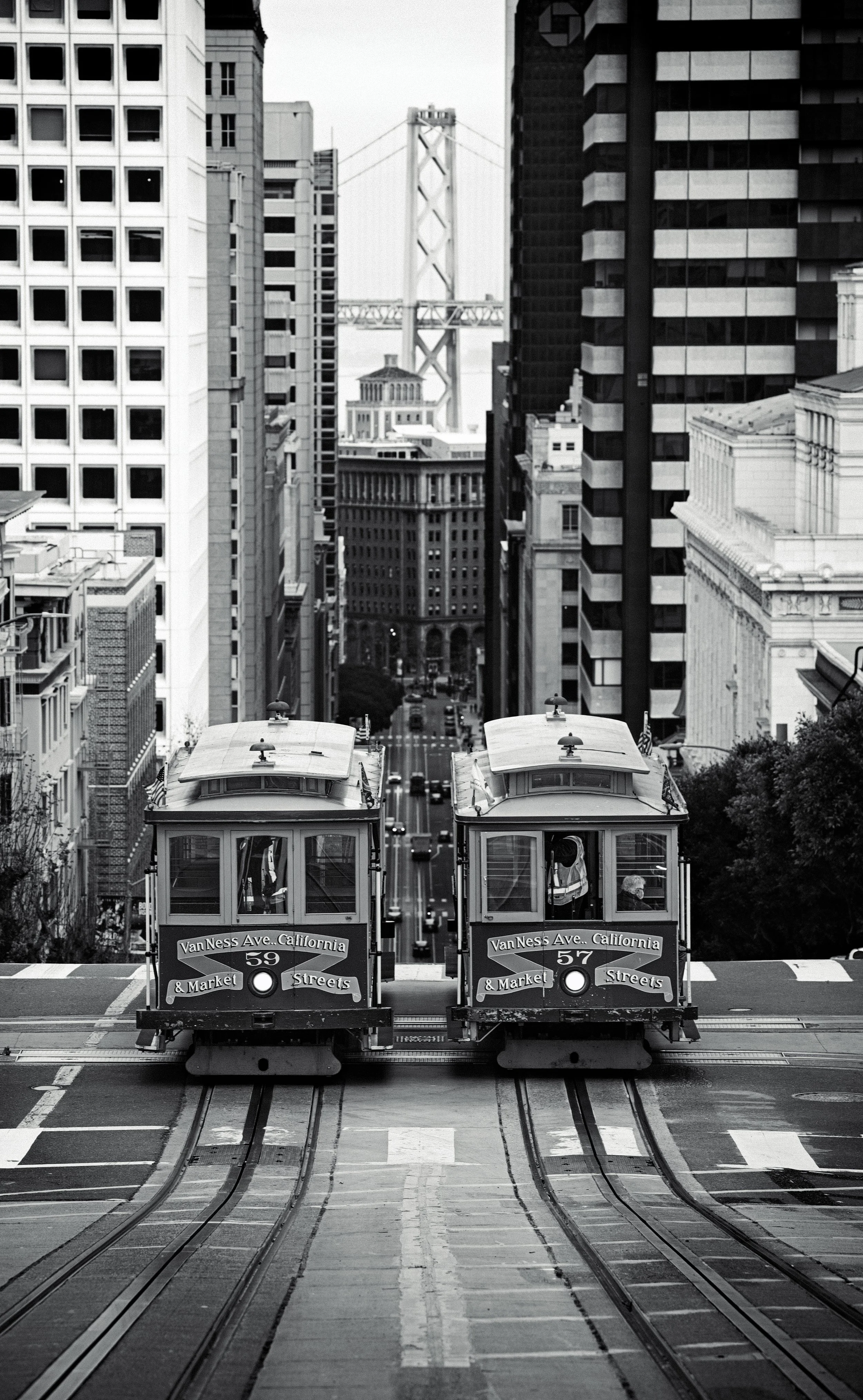 Bay Area-14