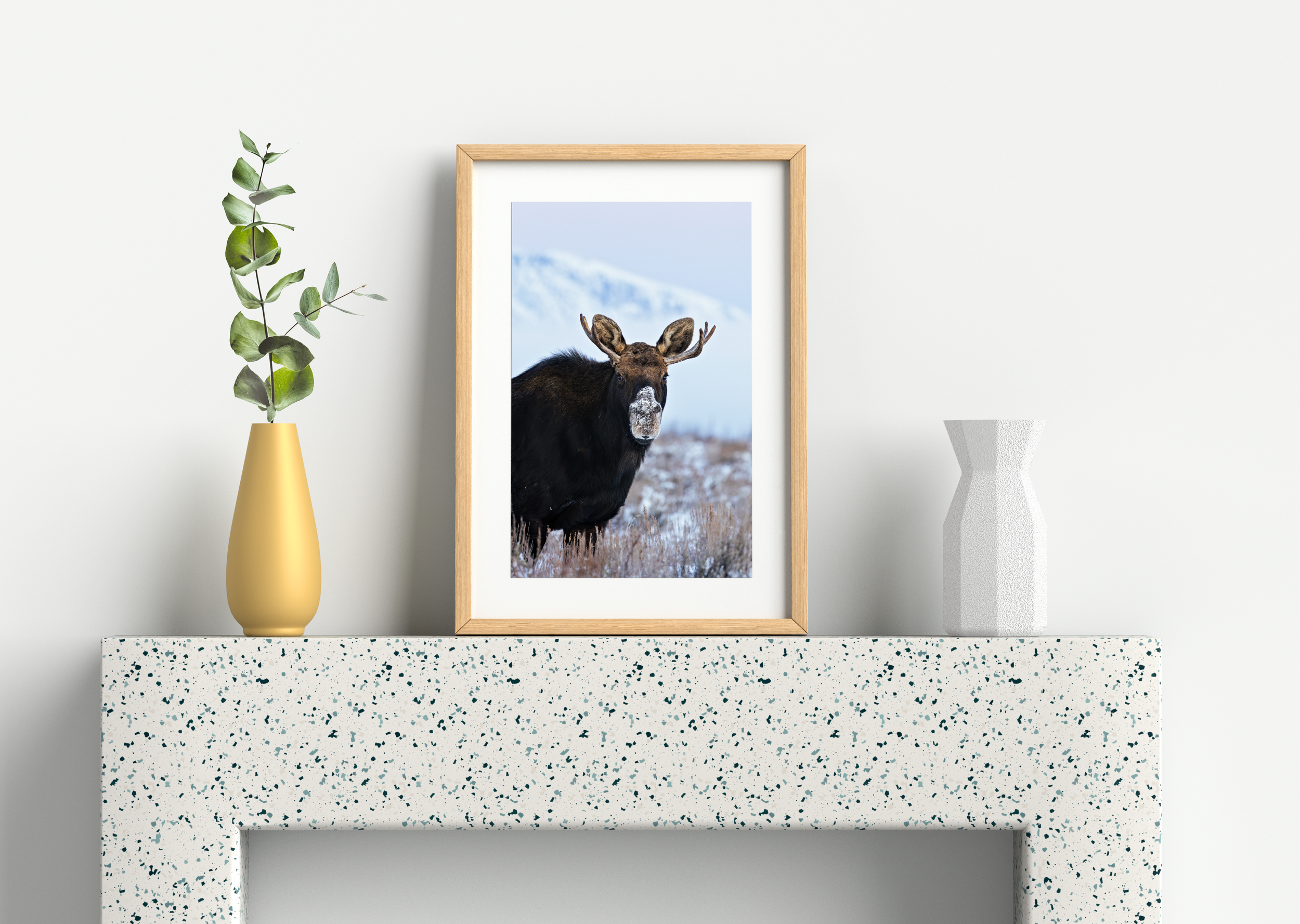 Wildlife-54.png
