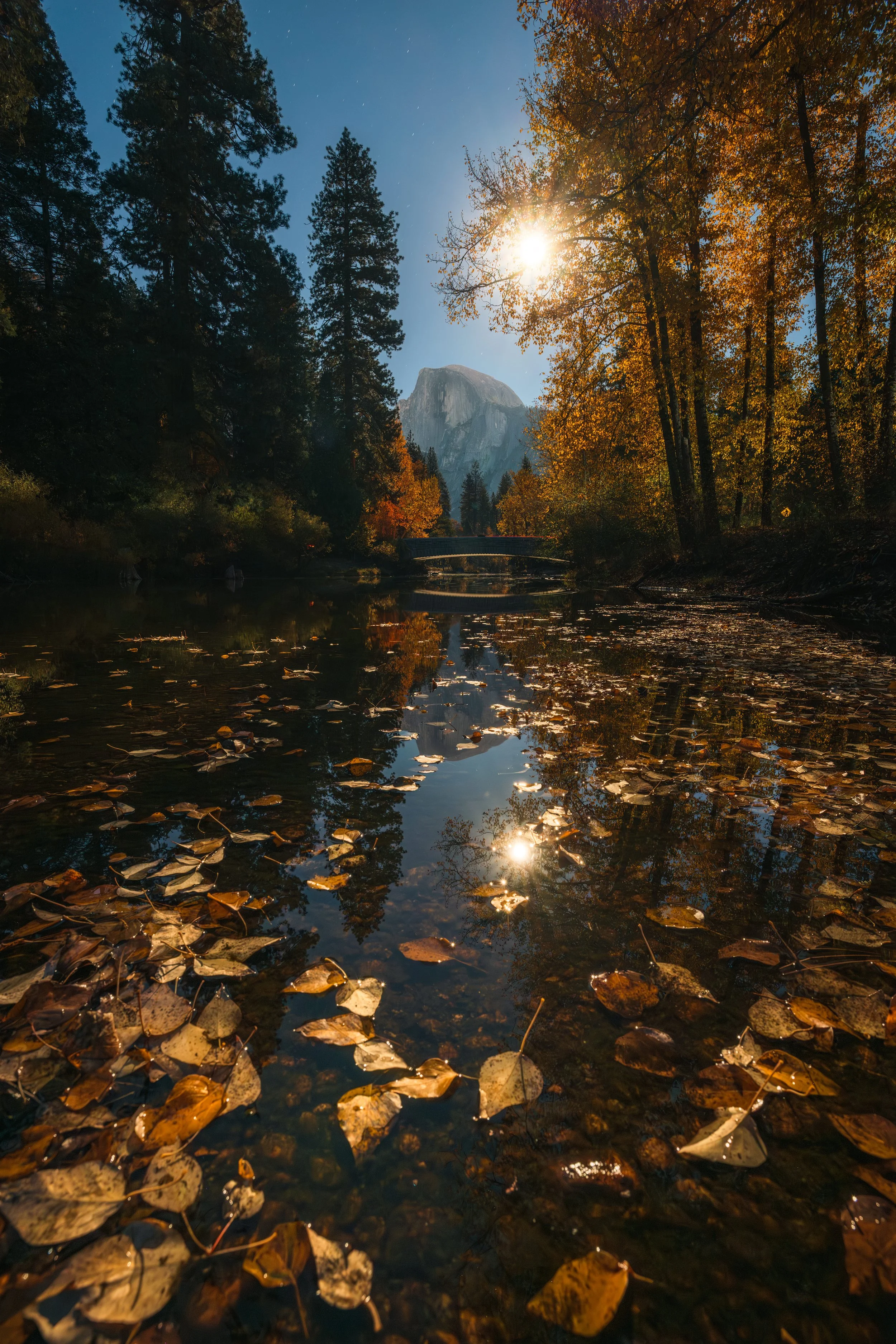 Yosemite-29