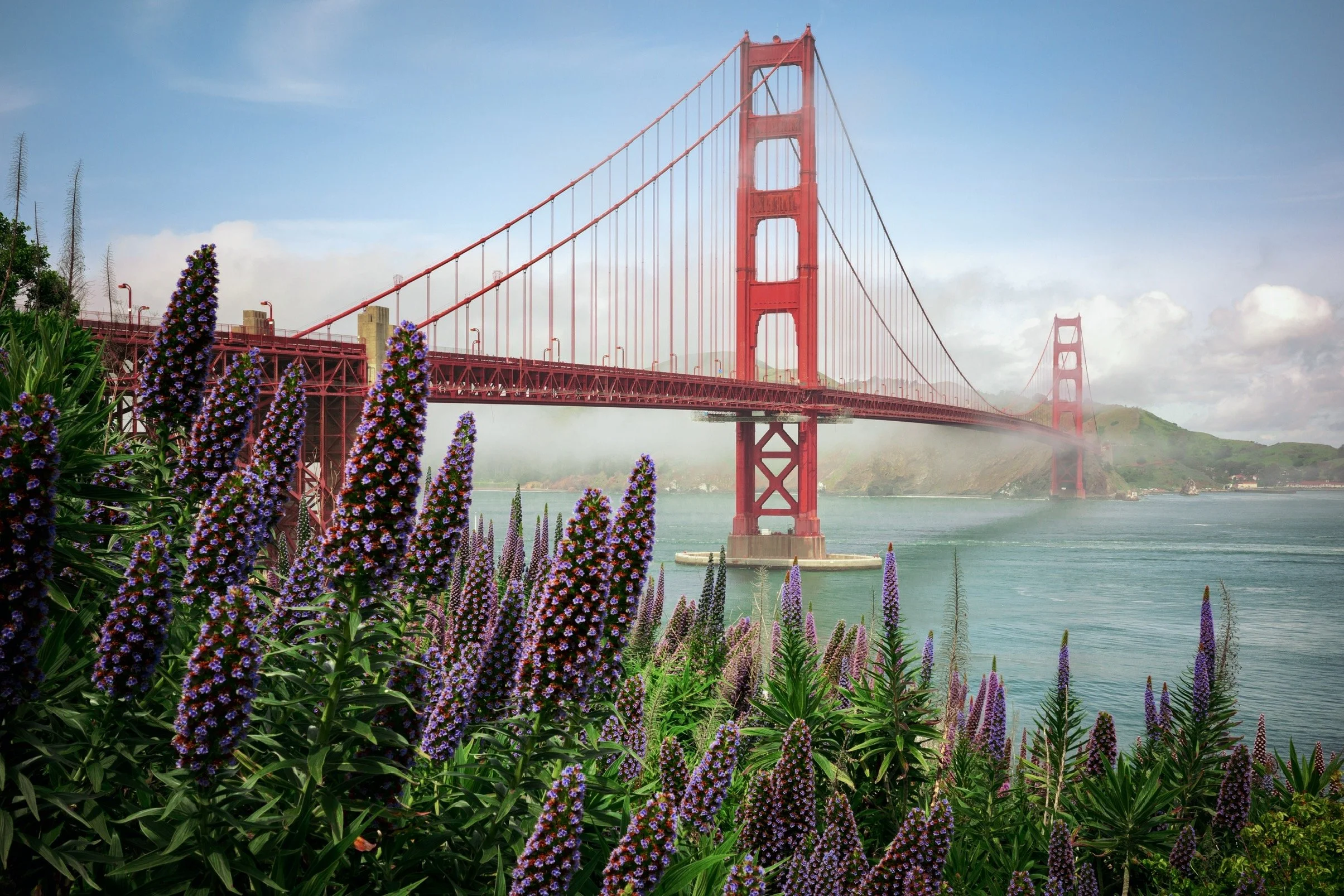 Bay Area-24.jpg