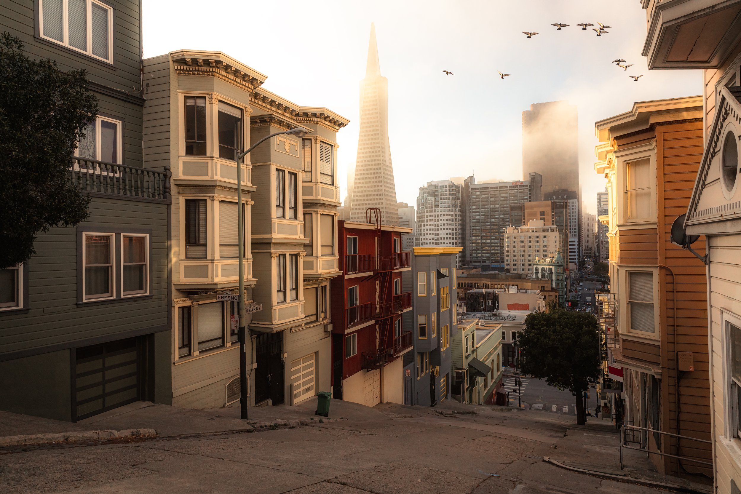 Bay Area-13.jpg