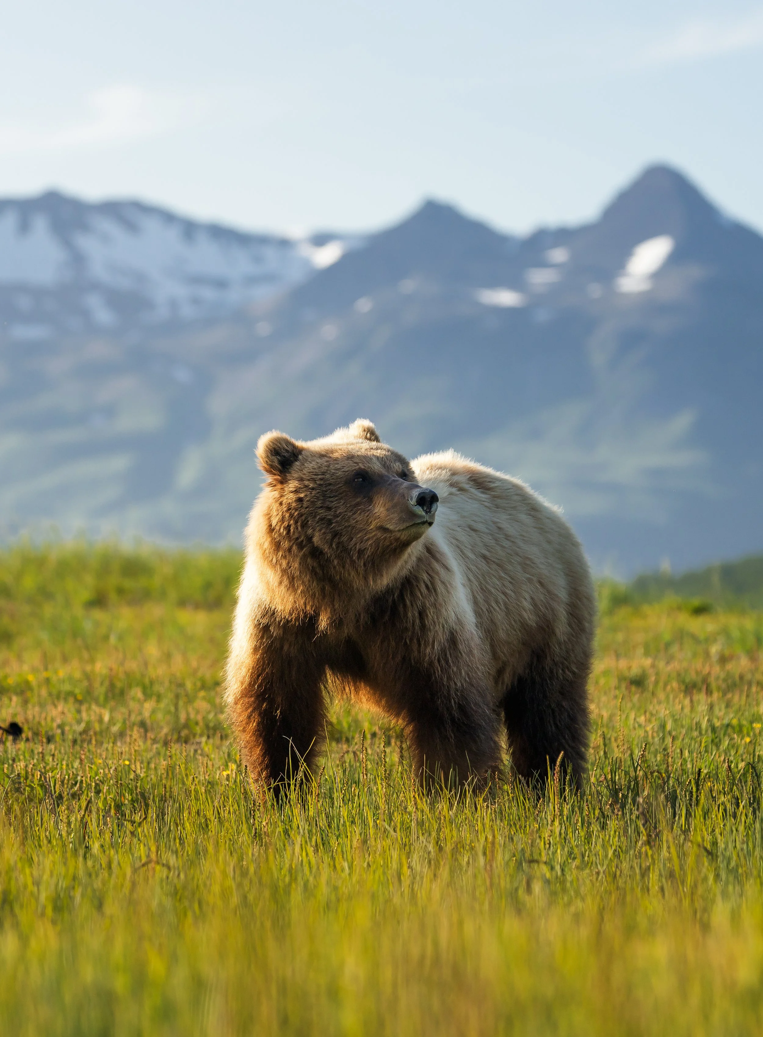 Wildlife-52.jpg