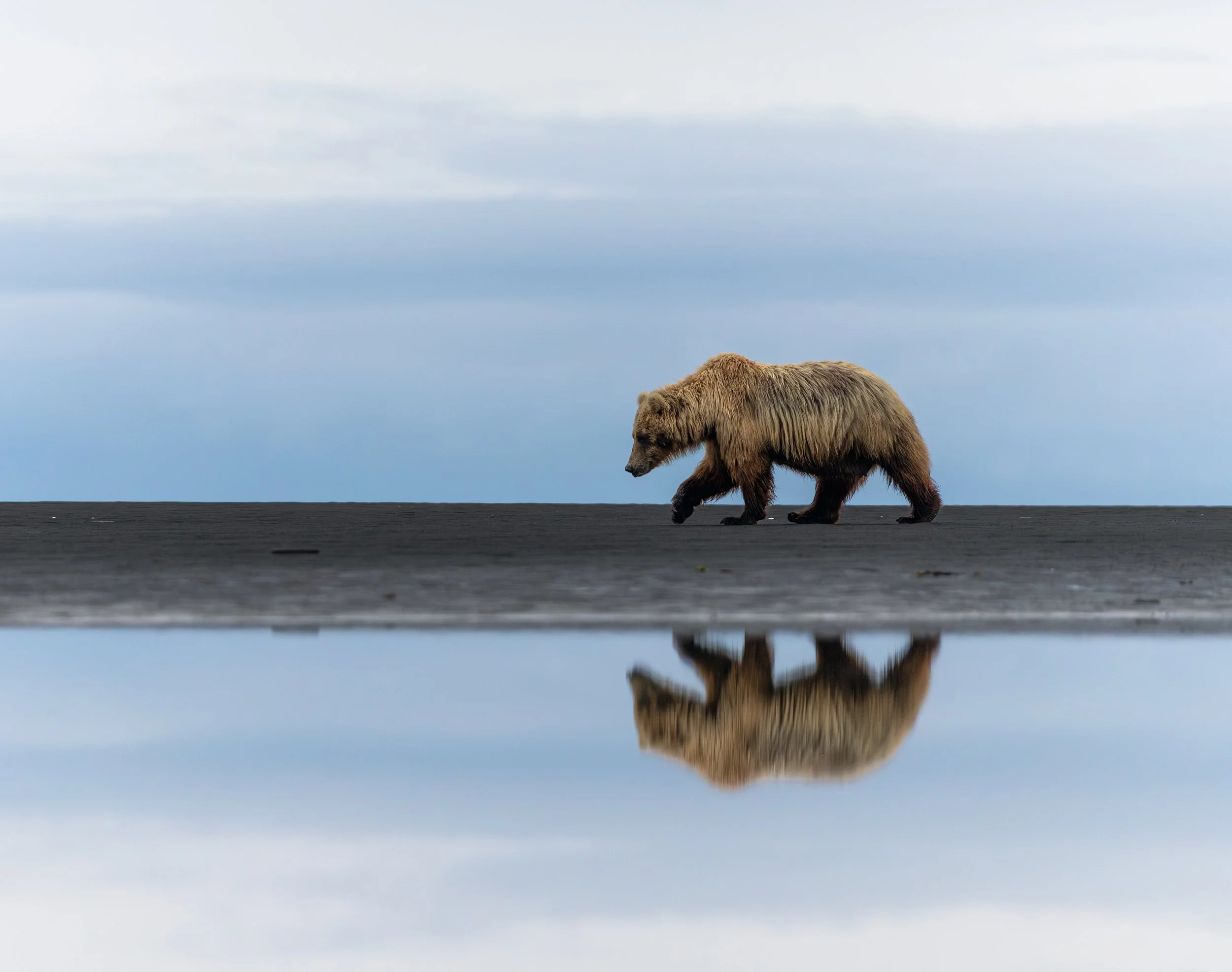 Wildlife-49.jpg