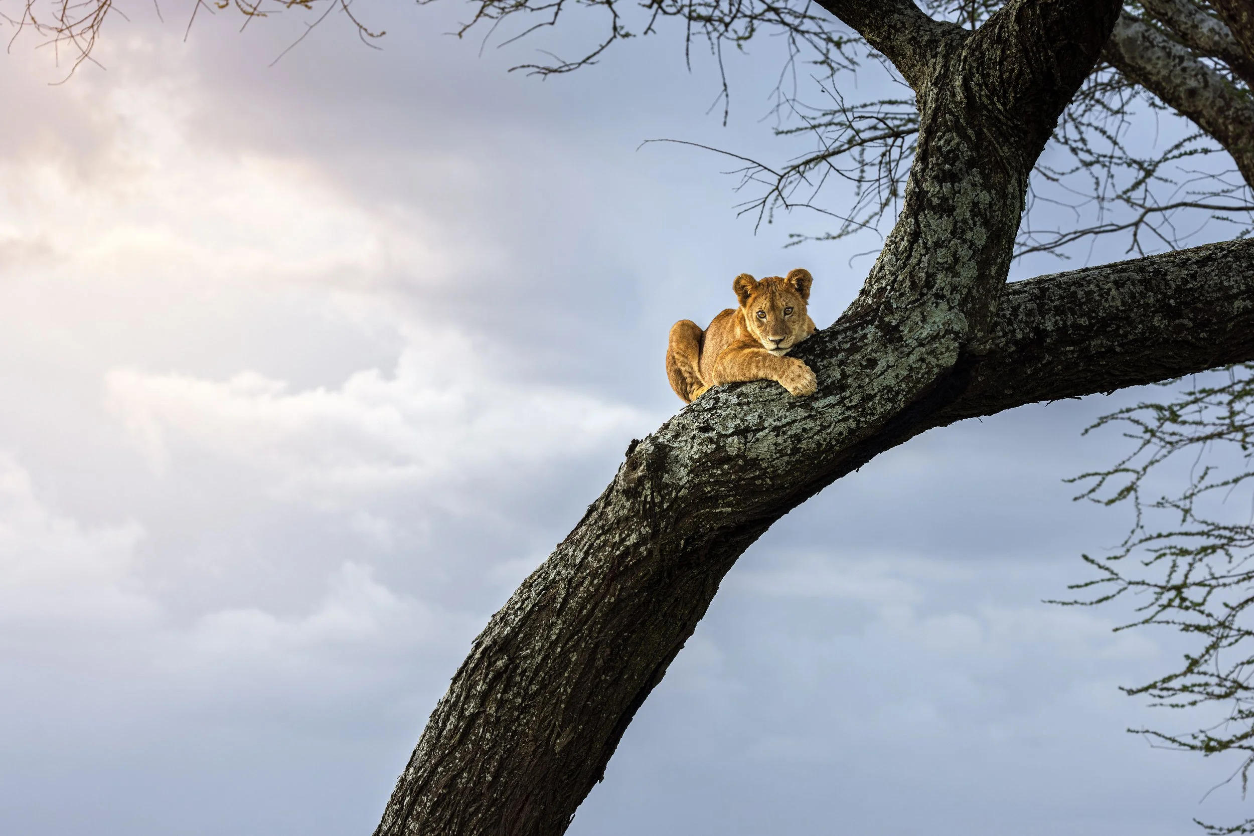 Wildlife-37.jpg