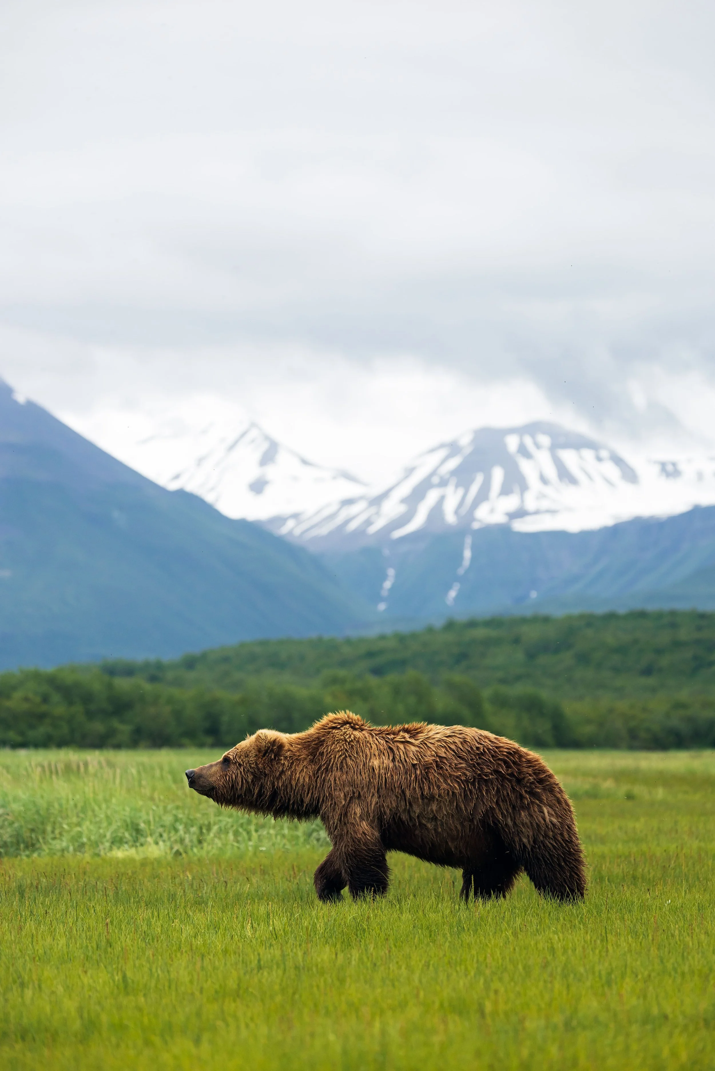 Wildlife-20.jpg